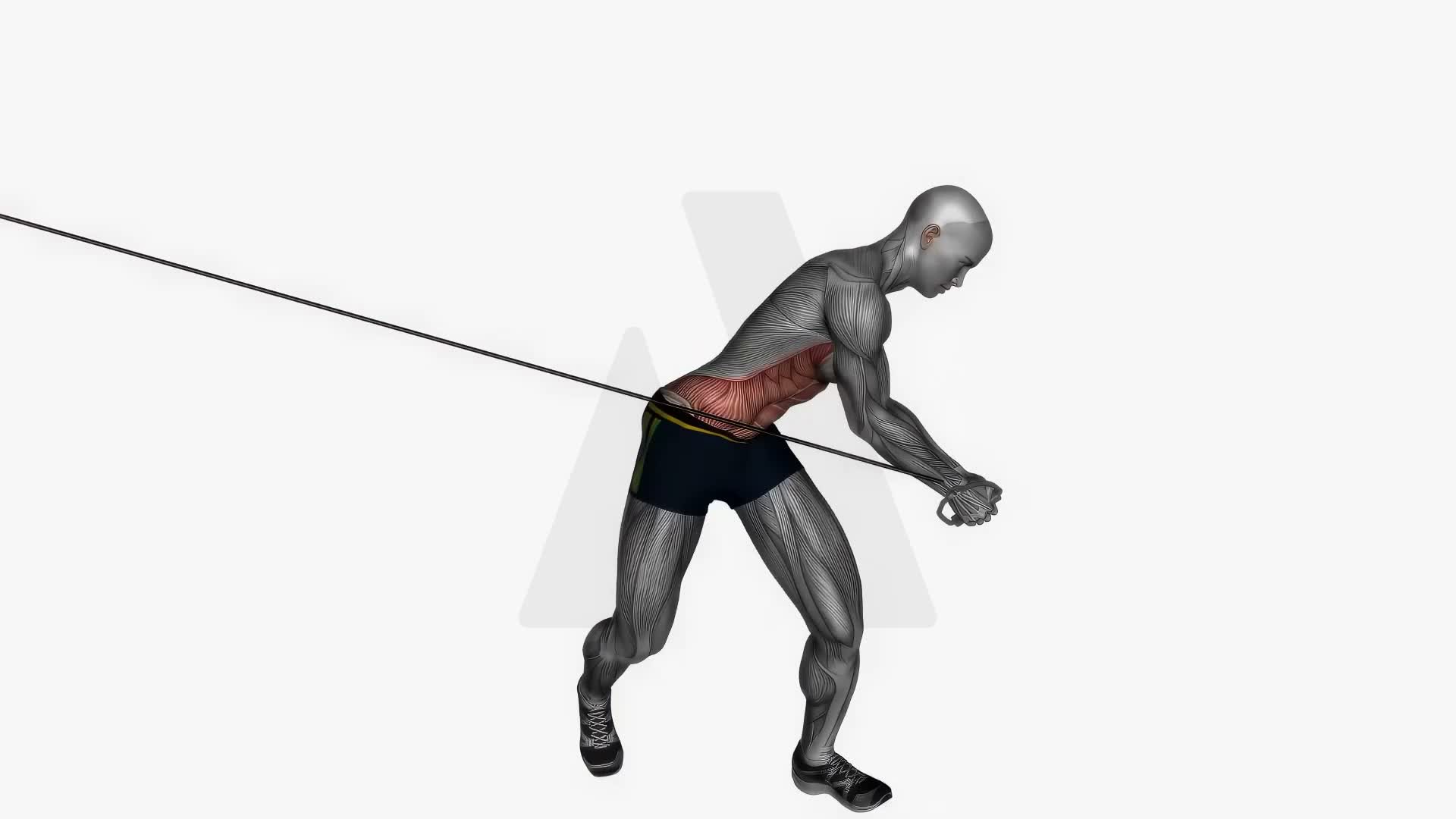 Diagonal Chop Cable exercise demonstration