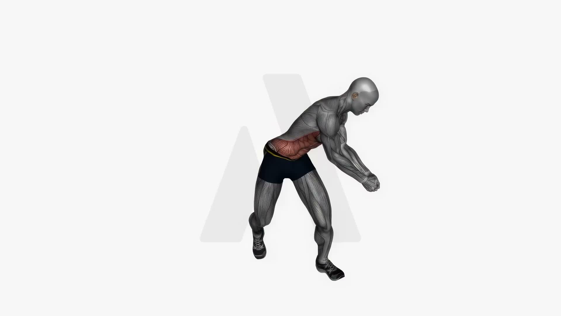 Diagonal Chop Left exercise demonstration