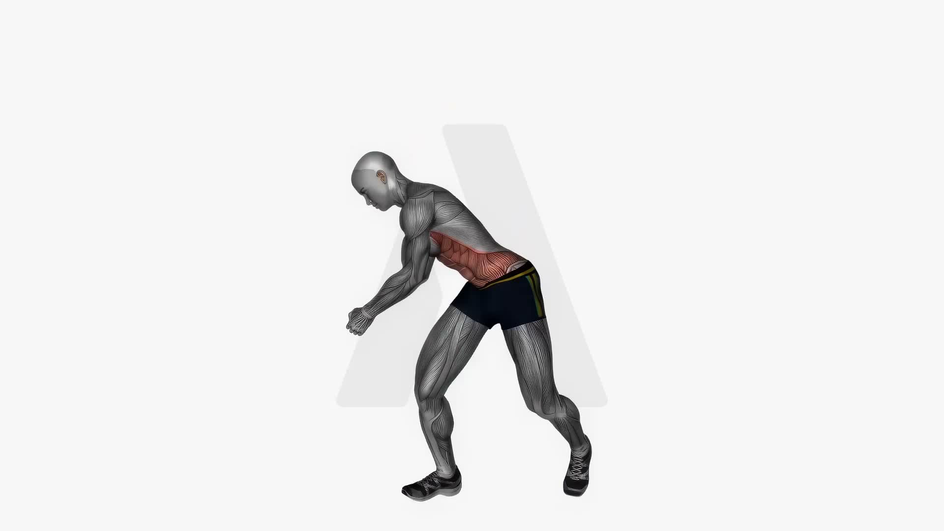 Diagonal Chop Right exercise demonstration
