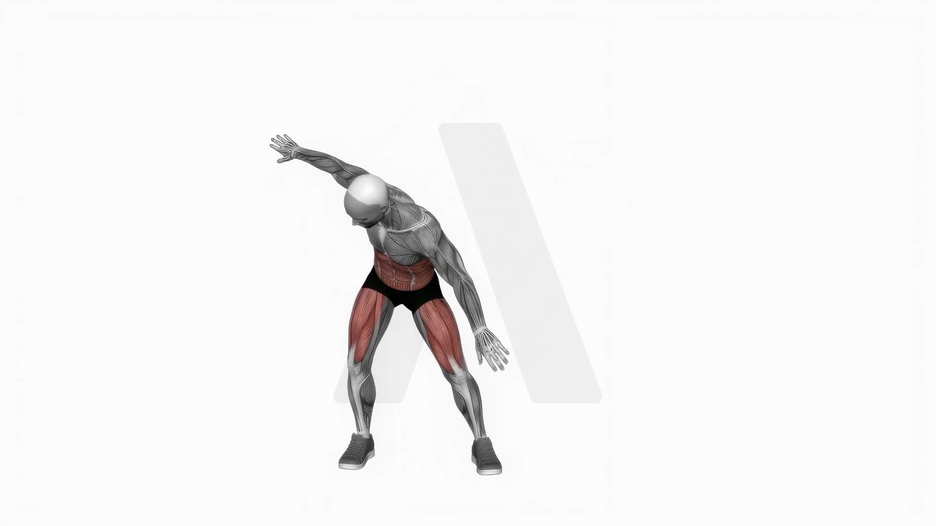Diagonal Lunge exercise demonstration