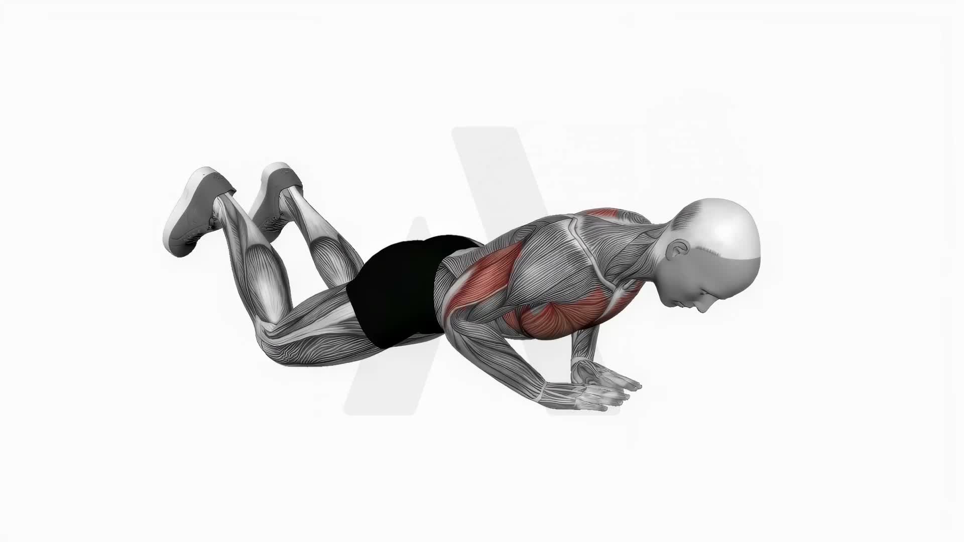 Diamond Push Up (On Knees) exercise demonstration