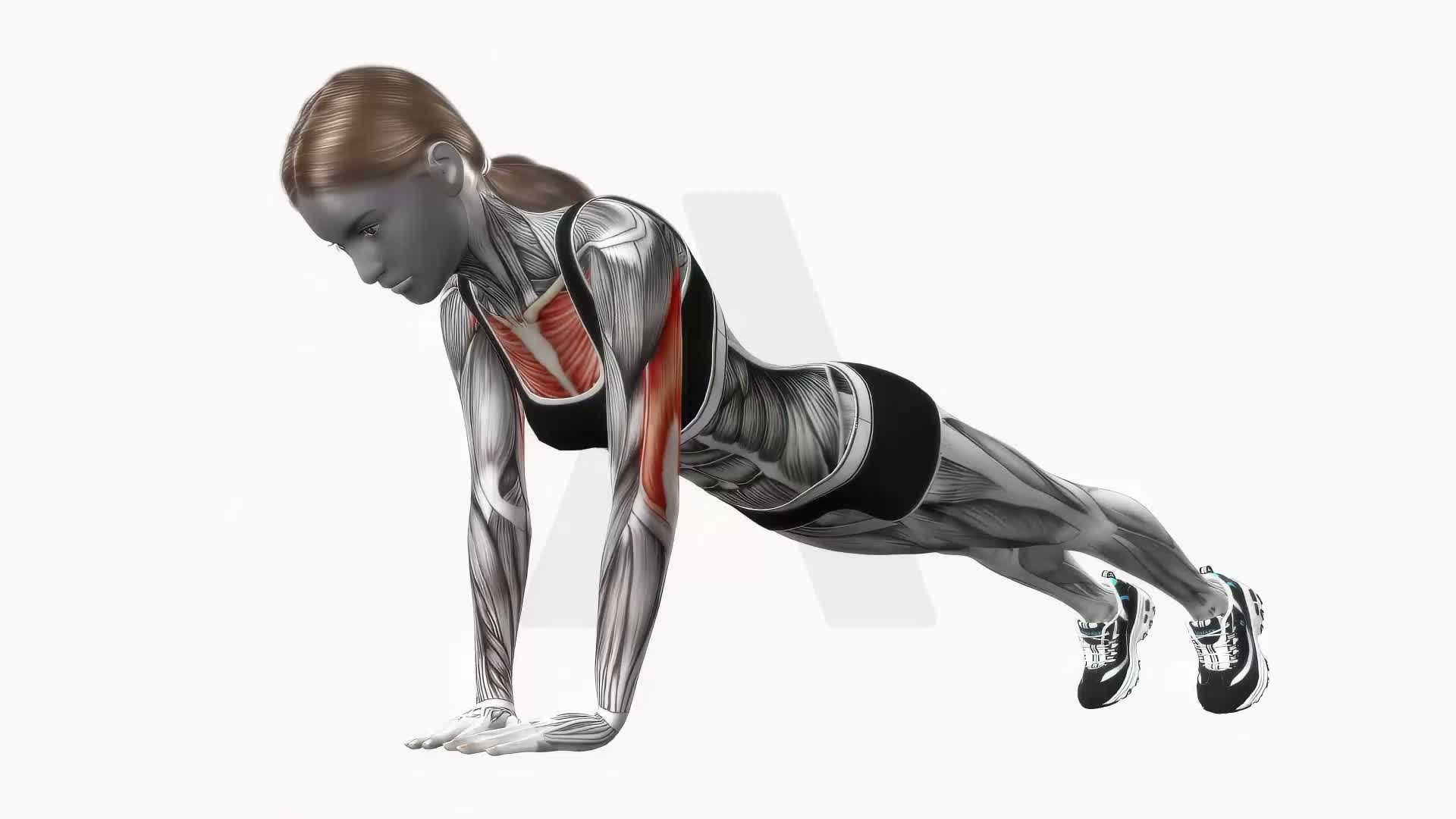 Diamond Push Up exercise demonstration