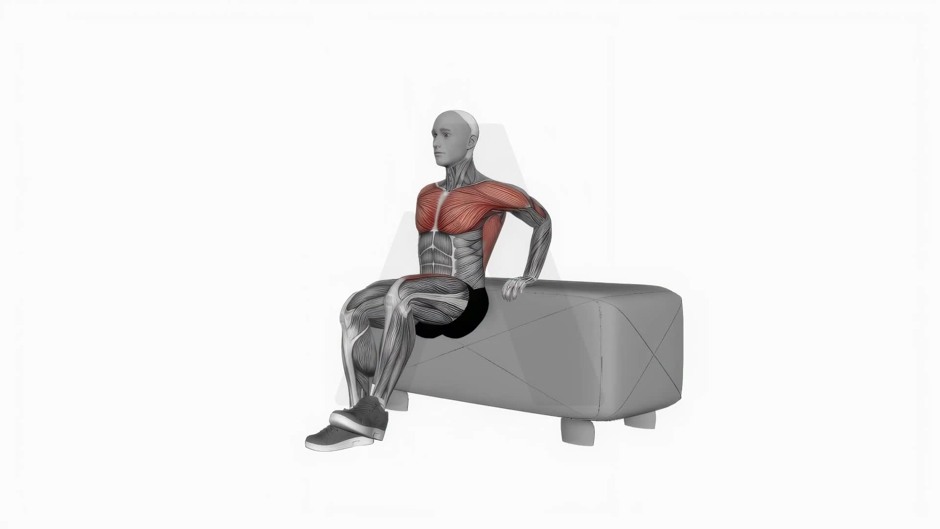 Dip Leg Raise On Couch exercise demonstration