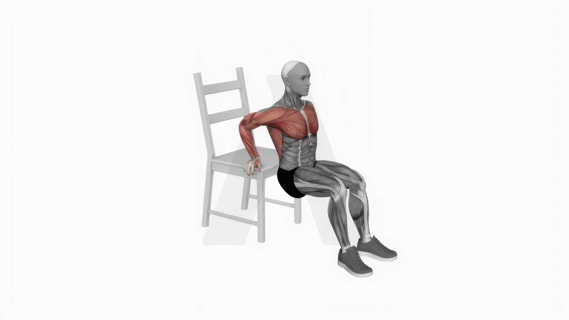 Dip On Floor With Chair exercise demonstration