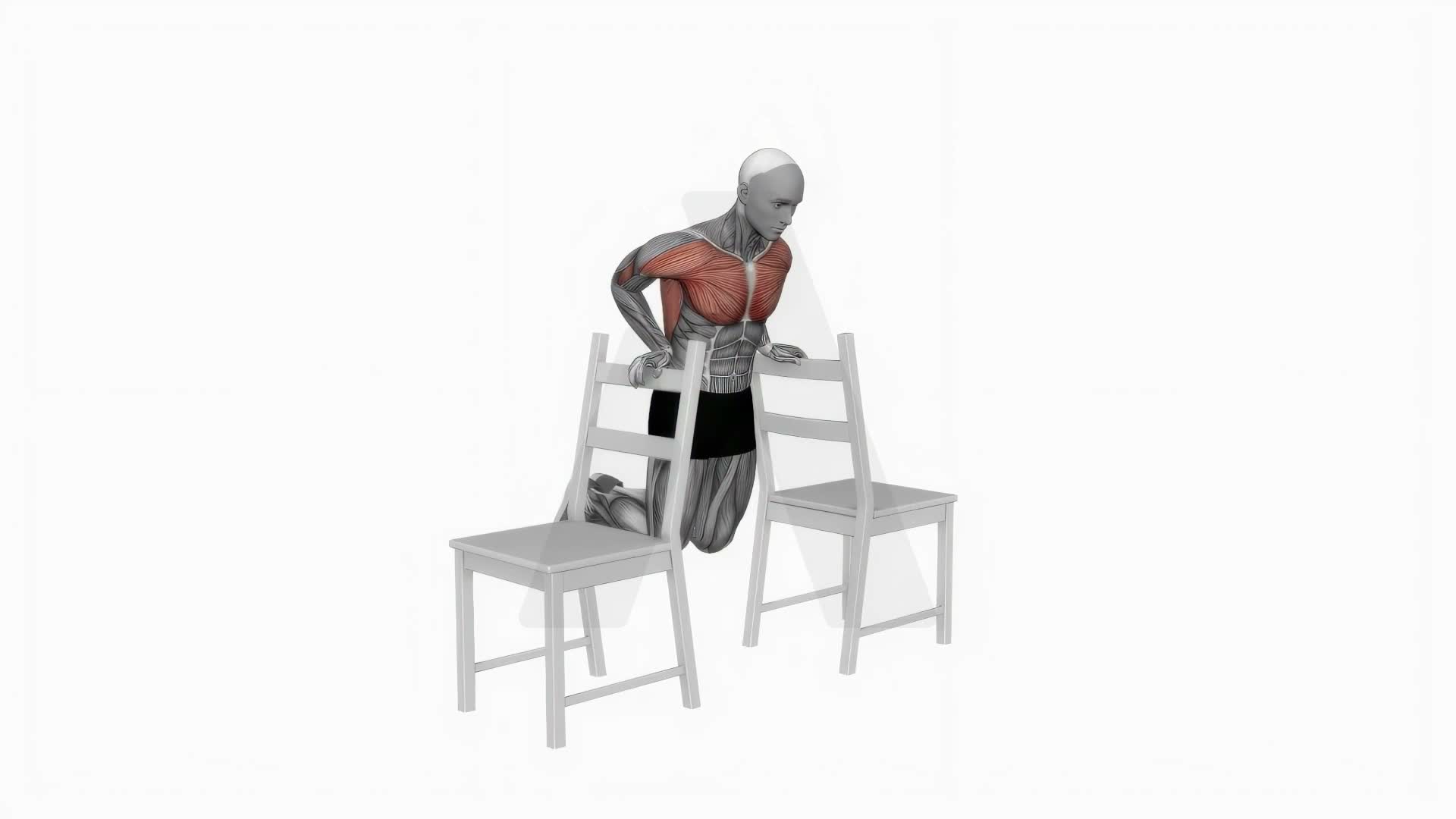 Dips Between Chairs exercise demonstration