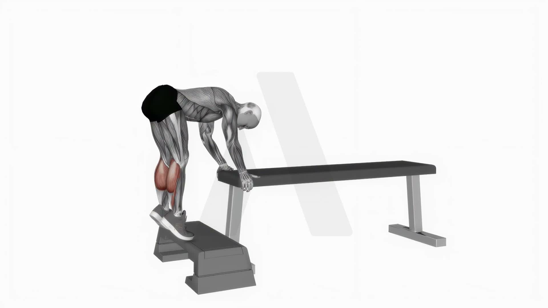 Donkey Calf Raise exercise demonstration