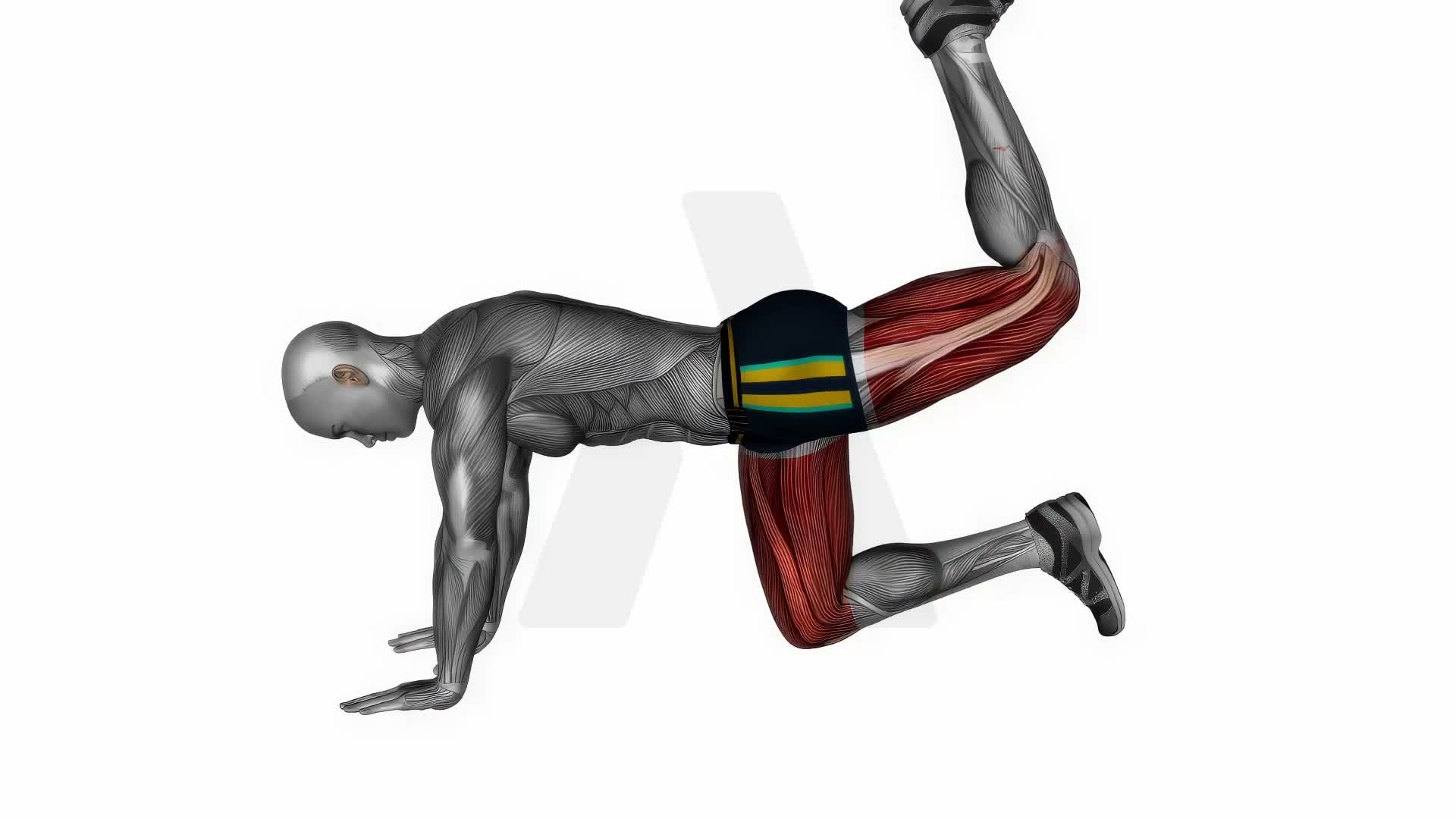 Donkey Kicks Bodyweight exercise demonstration
