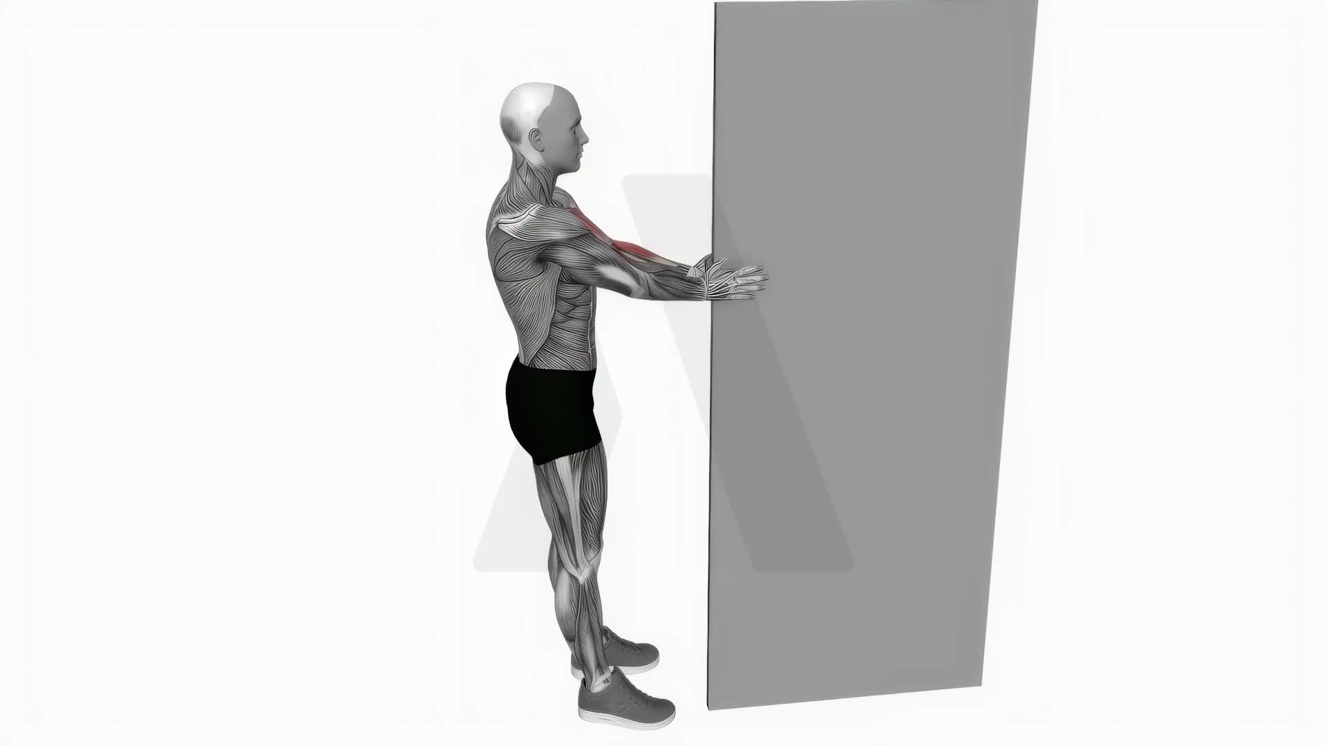 Doorway Biceps Curl exercise demonstration