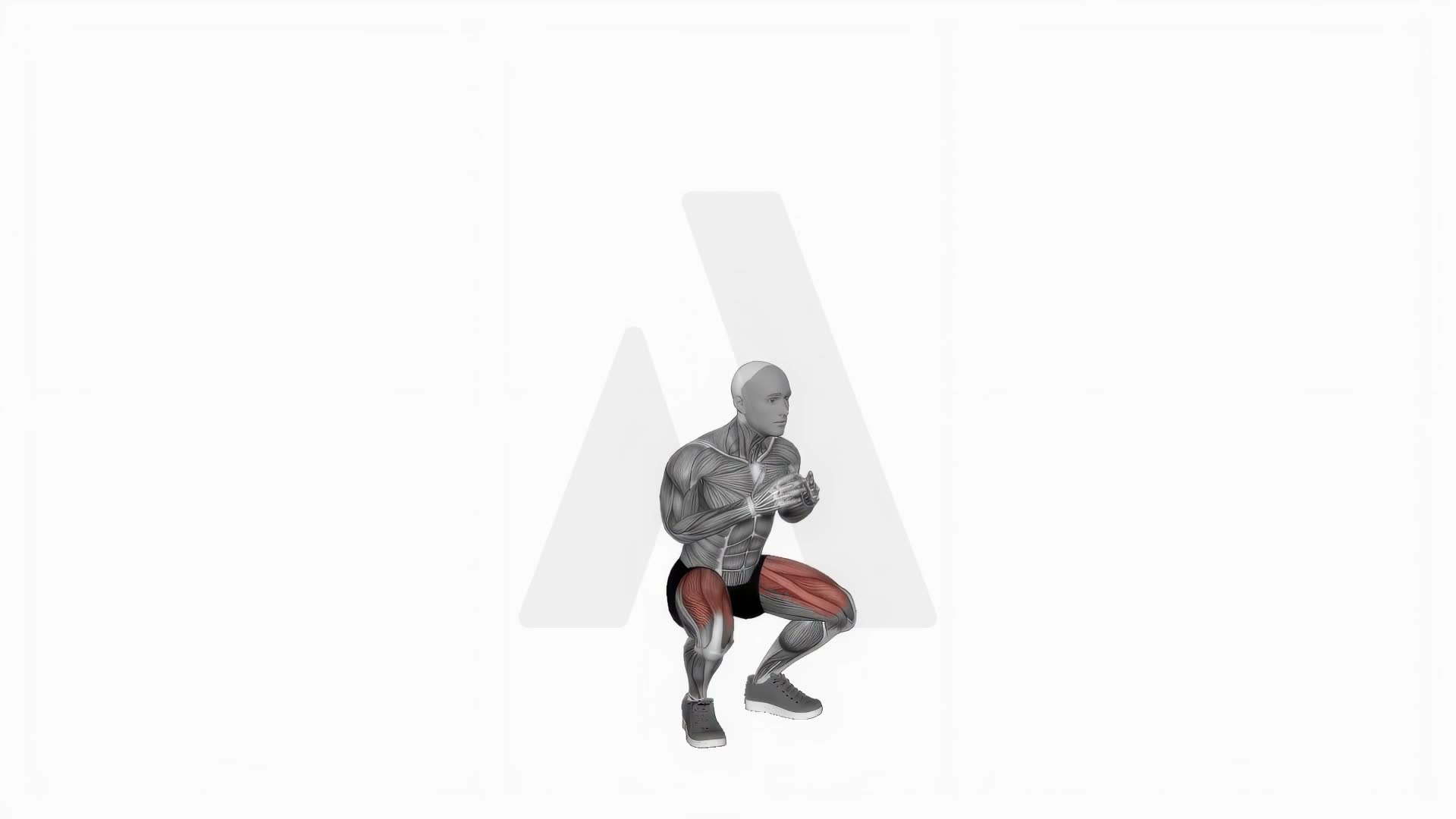 Double Jump Squat exercise demonstration