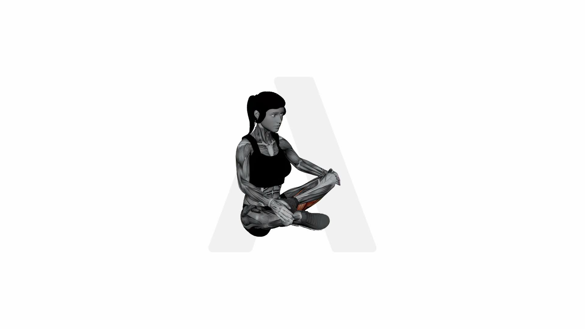 Double Pigeon Pose exercise demonstration