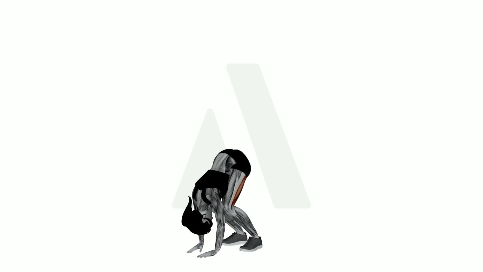 Downward Dog Toe To Heel exercise demonstration