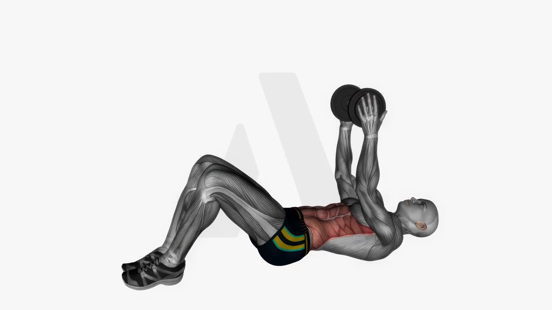 Dumbbell Ab Crunch exercise demonstration