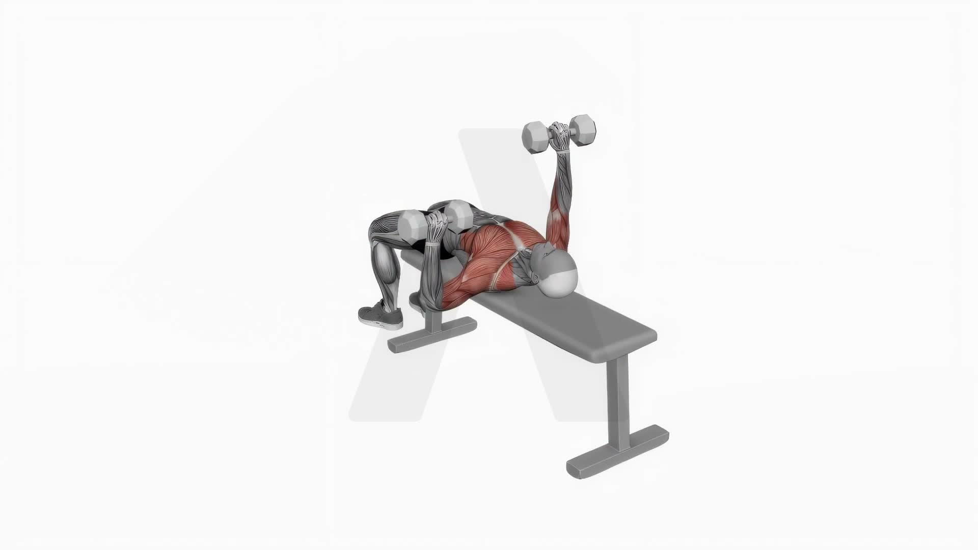 Dumbbell Alternate Bench Press (High Start) exercise demonstration