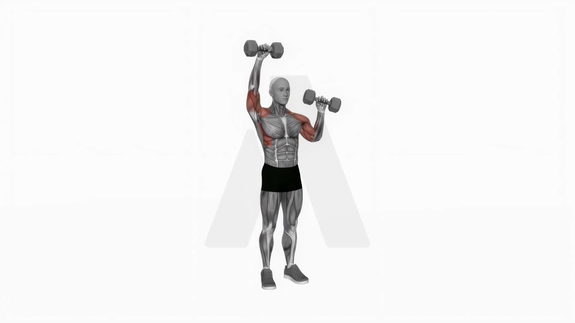 Dumbbell Alternate Shoulder Press exercise demonstration