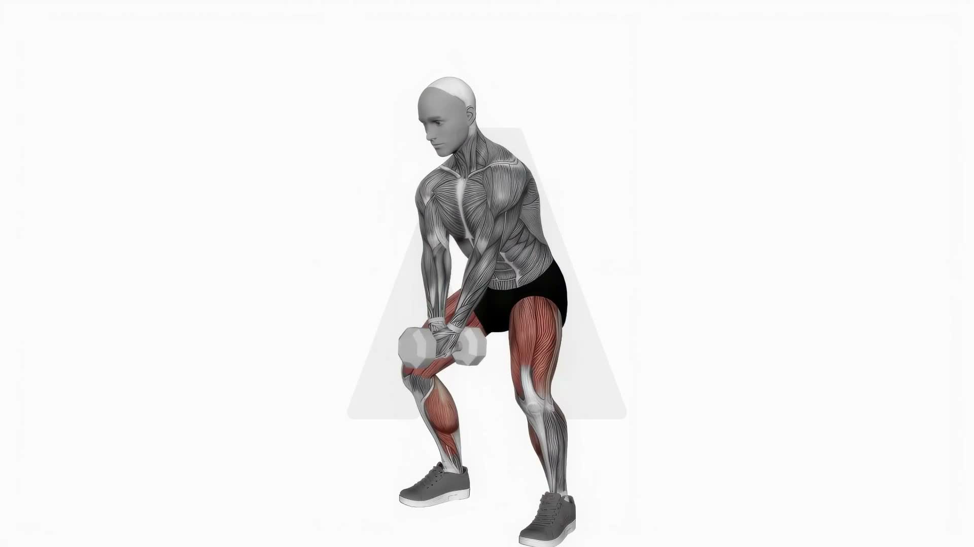 Dumbbell Bar Grip Sumo Squat exercise demonstration