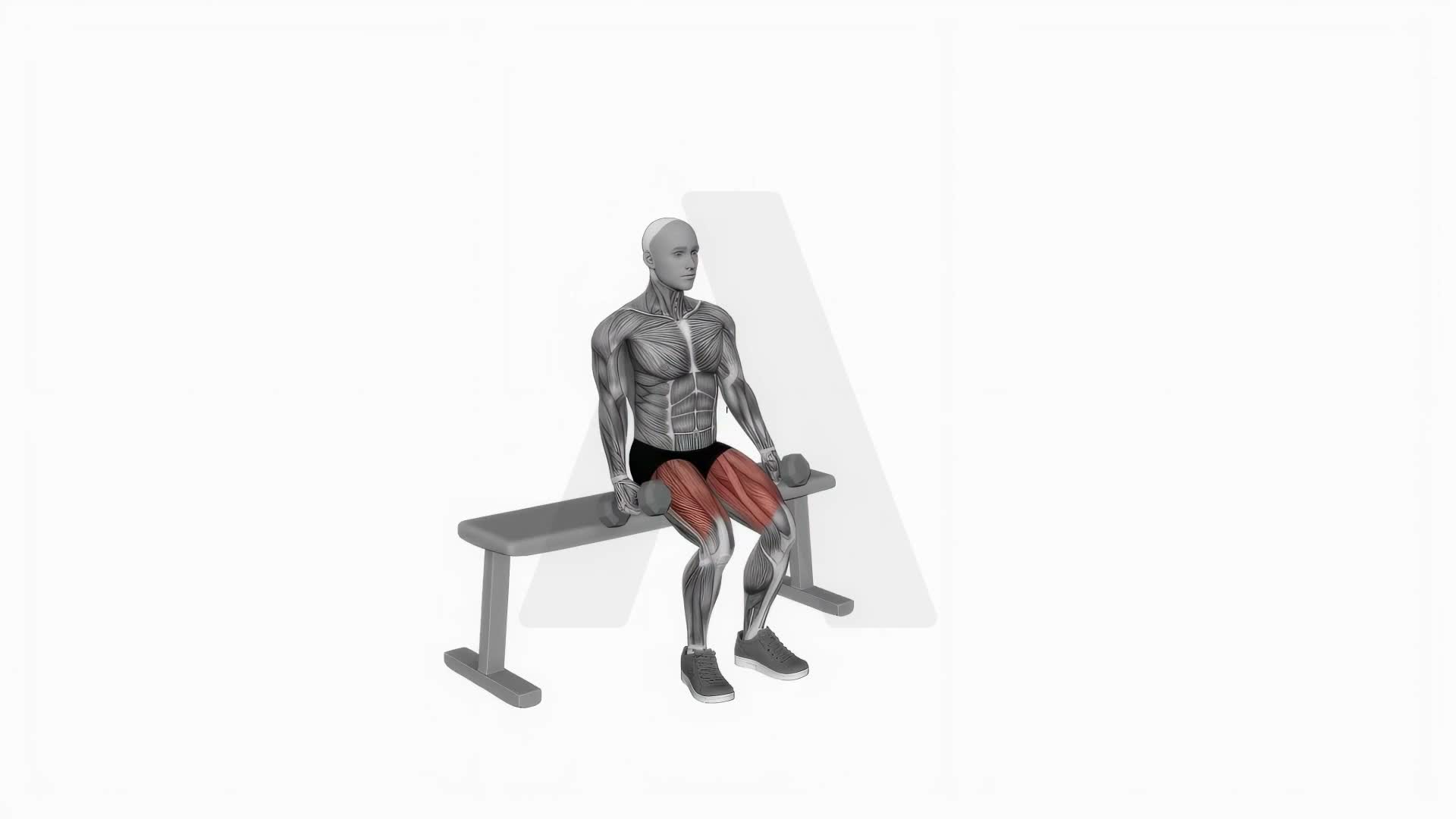 Dumbbell Bench Squat exercise demonstration