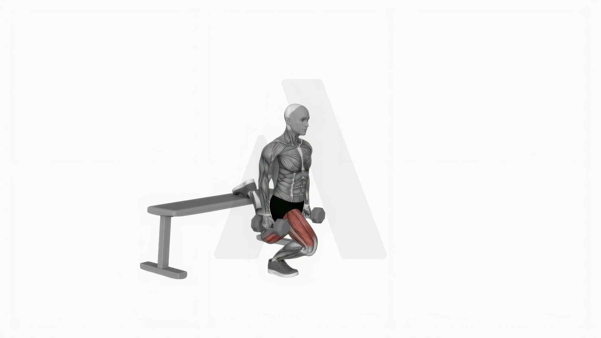 Dumbbell Bulgarian Split Squat exercise demonstration