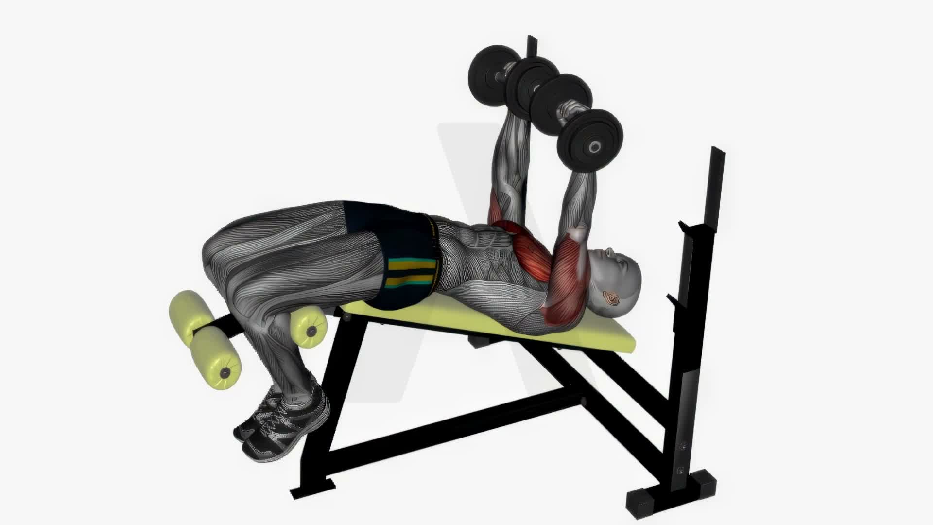 Dumbbell Chest Press Decline exercise demonstration