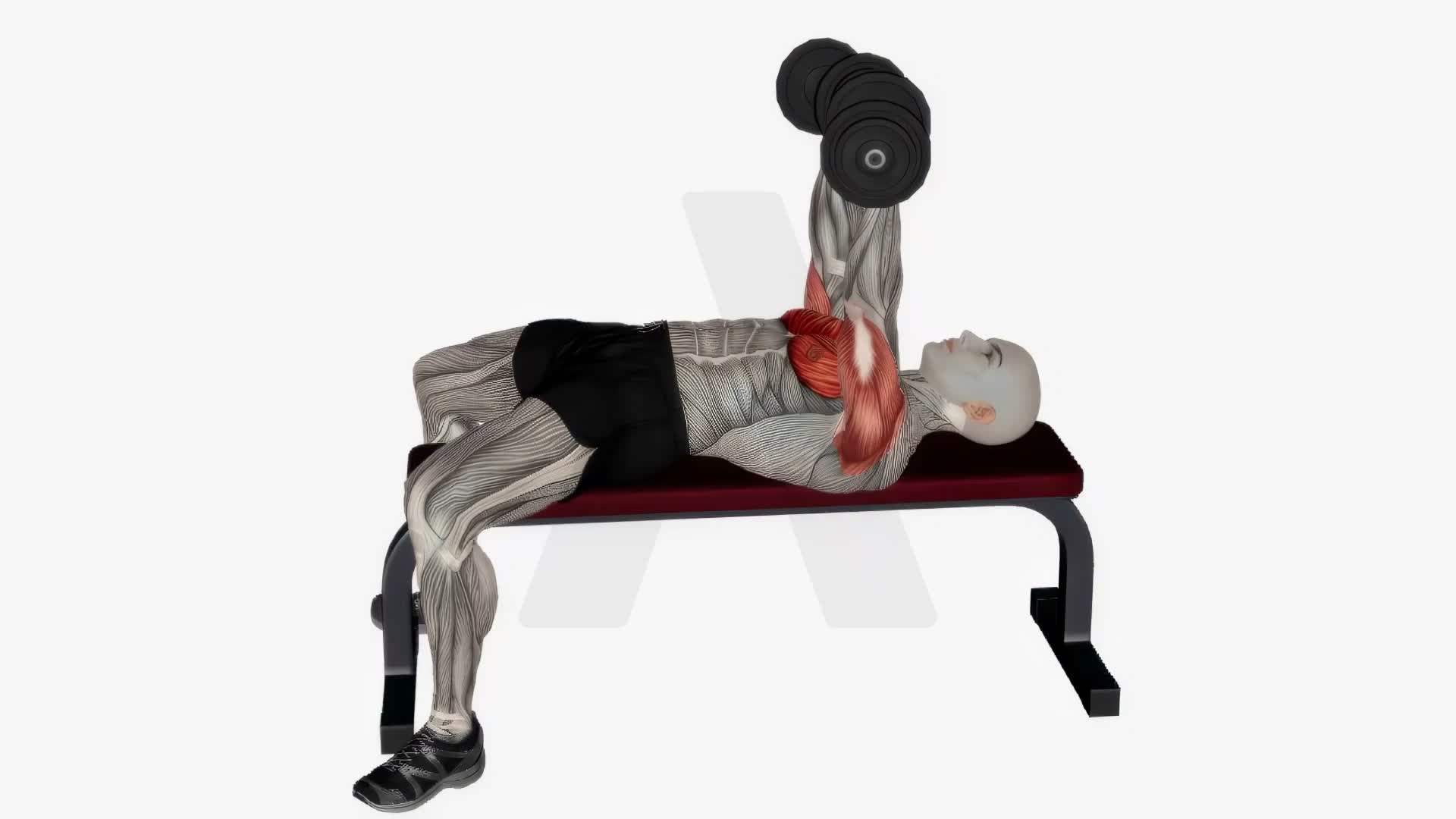 Dumbbell Chest Press Flat exercise demonstration