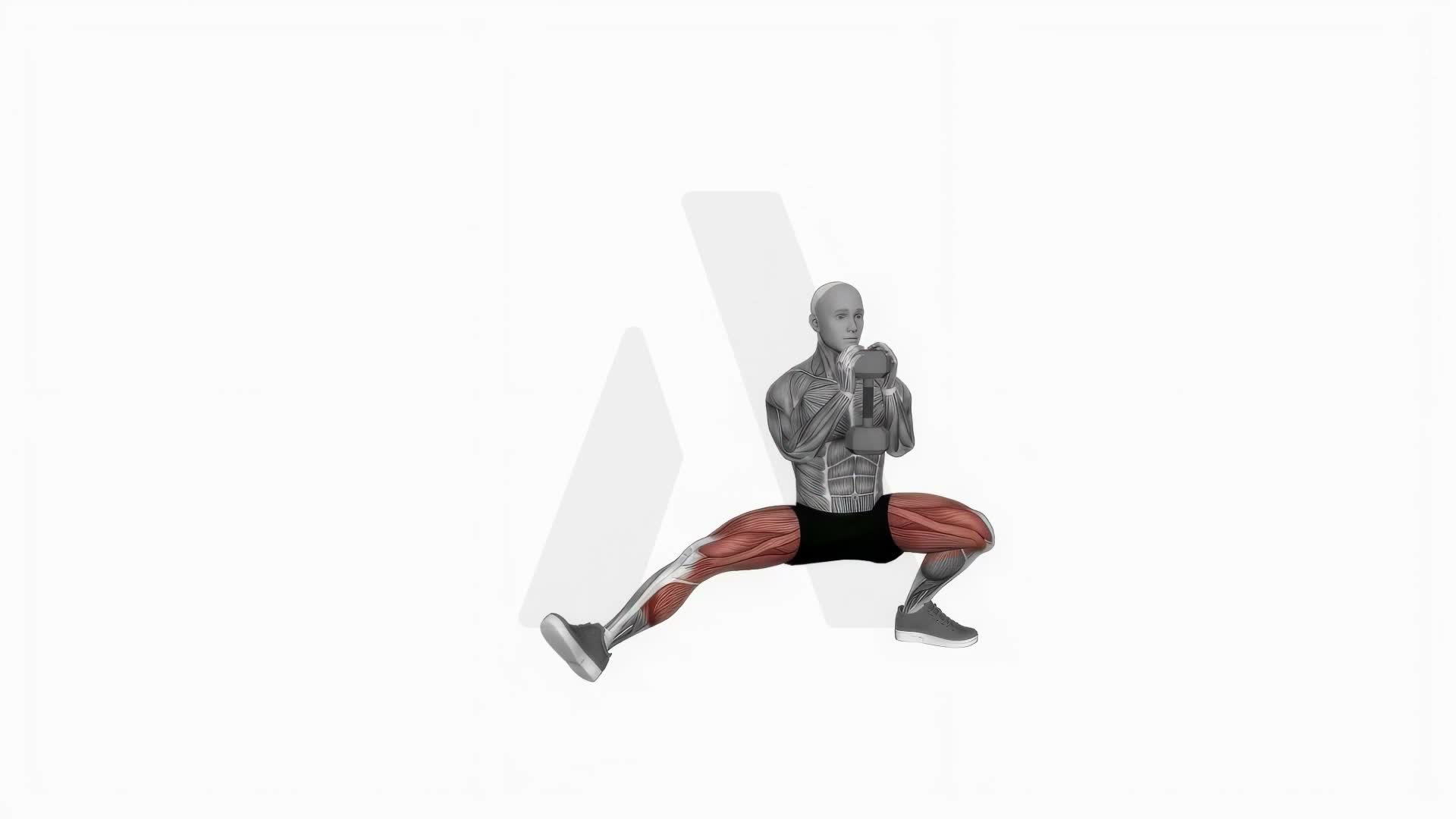Dumbbell Cossack Squats (Version 2) exercise demonstration