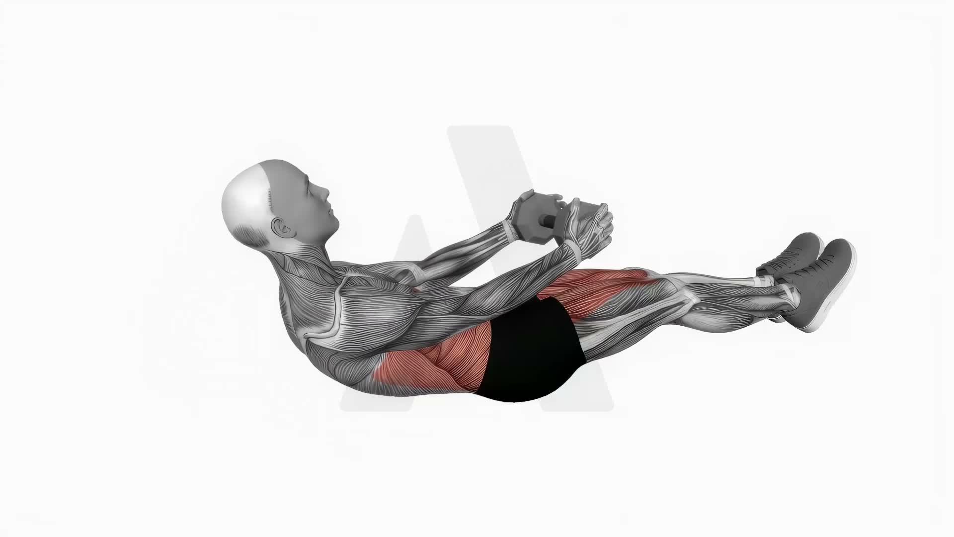Dumbbell Crunch Hold With Legs Off exercise demonstration