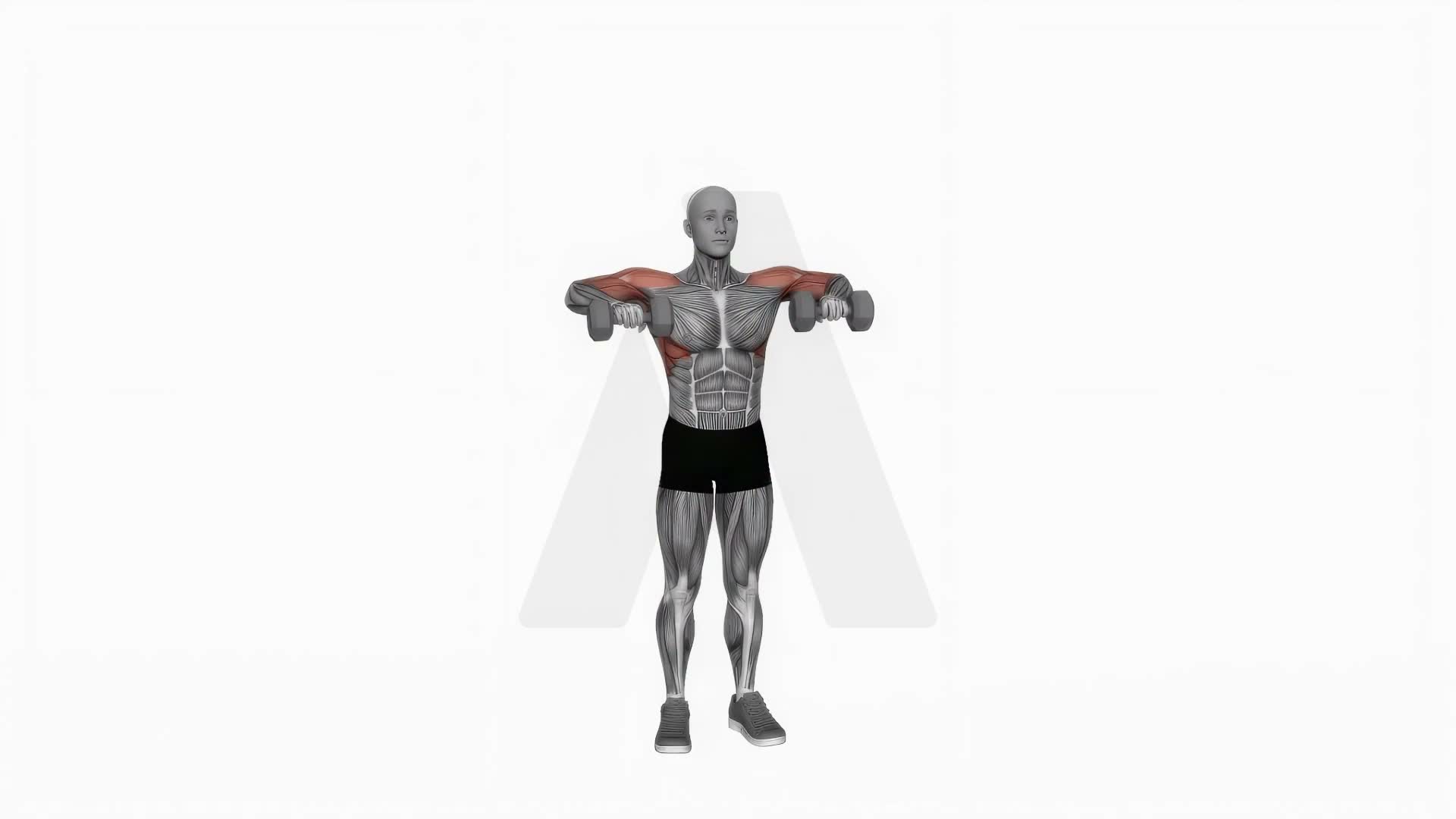 Dumbbell Cuban Press (Version 2) exercise demonstration