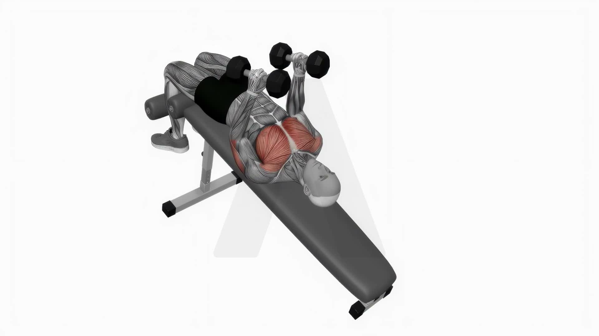 Dumbbell Decline Hammer Press exercise demonstration