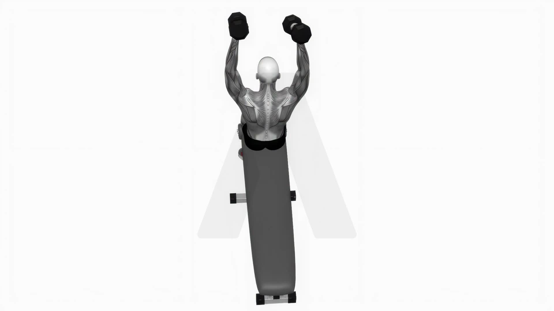 Dumbbell Decline Overhead Sit Up exercise demonstration