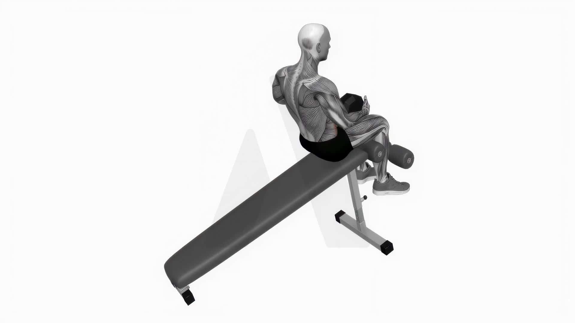 Dumbbell Decline Sit Up exercise demonstration