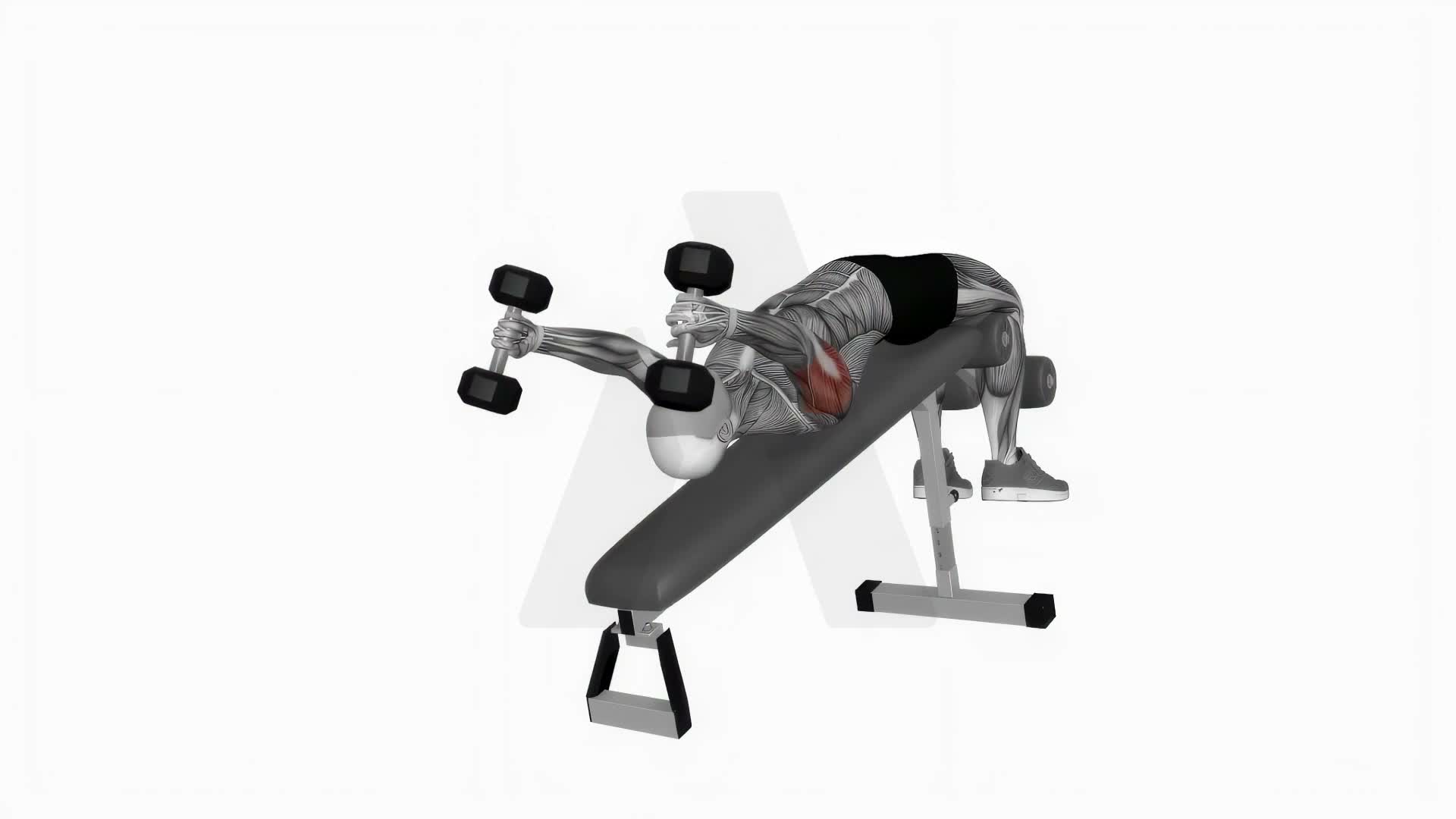 Dumbbell Decline Triceps Pull Over Extension exercise demonstration