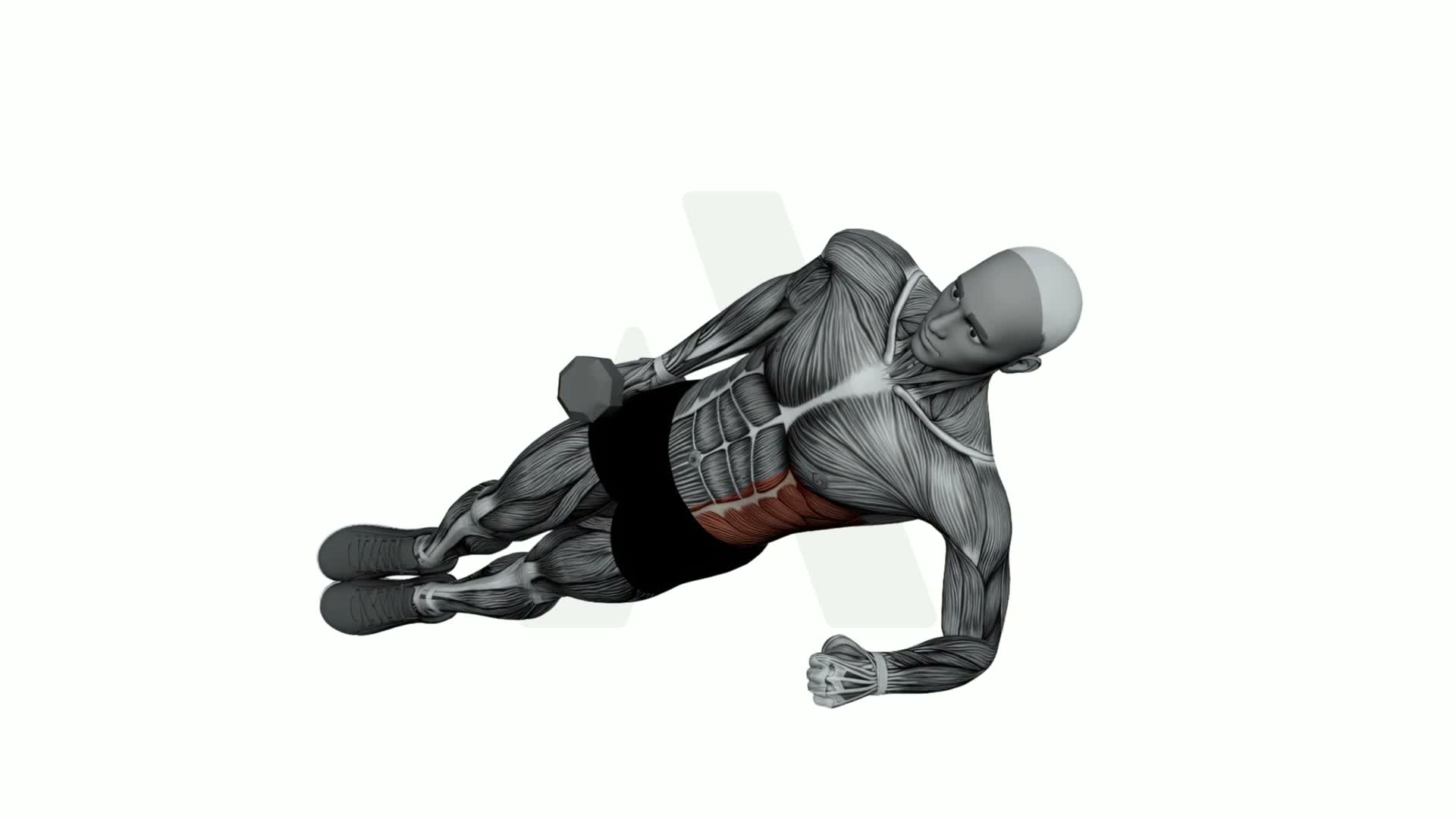 Dumbbell Elbow Side Plank exercise demonstration