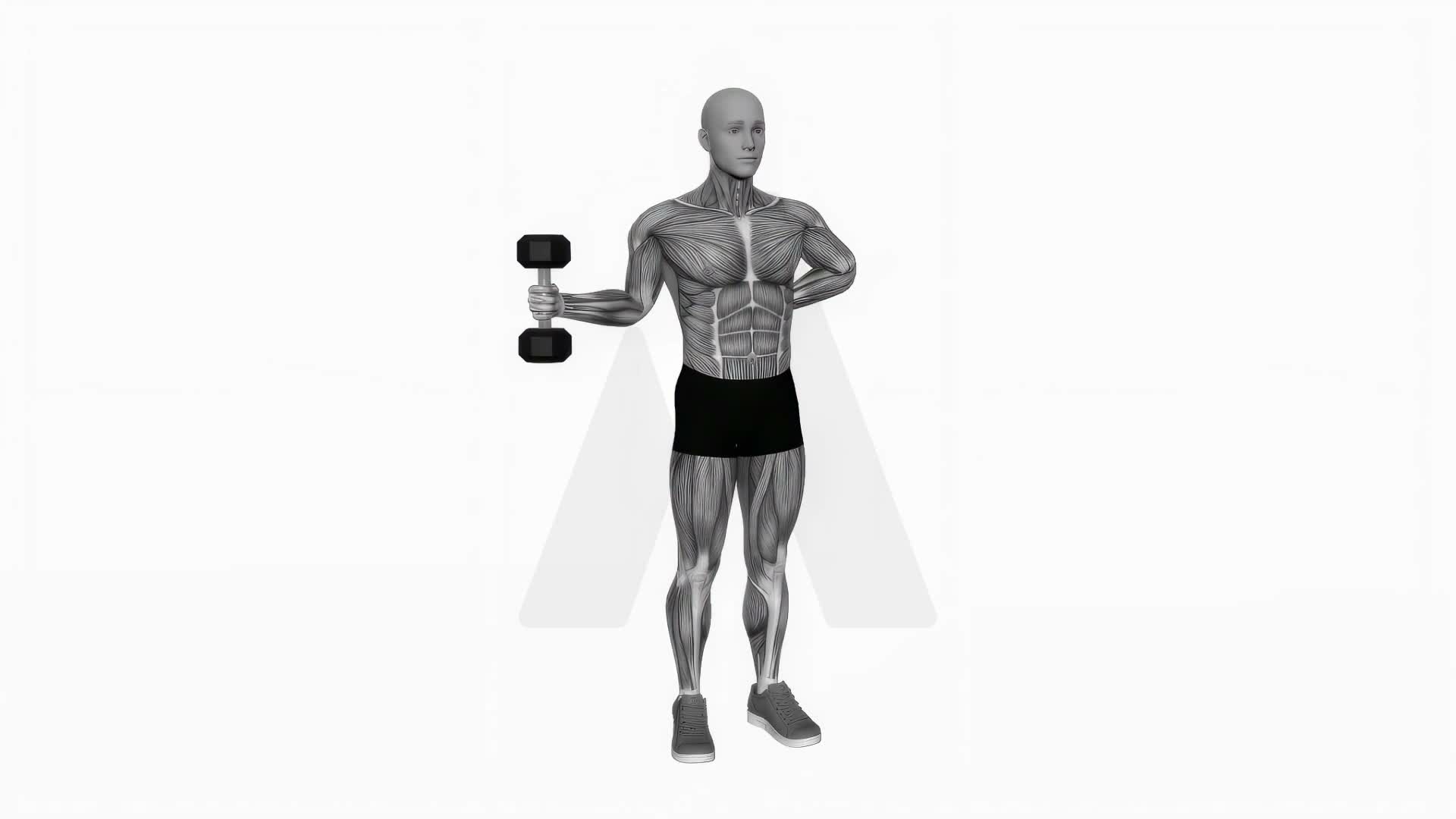 Dumbbell External Rotation exercise demonstration