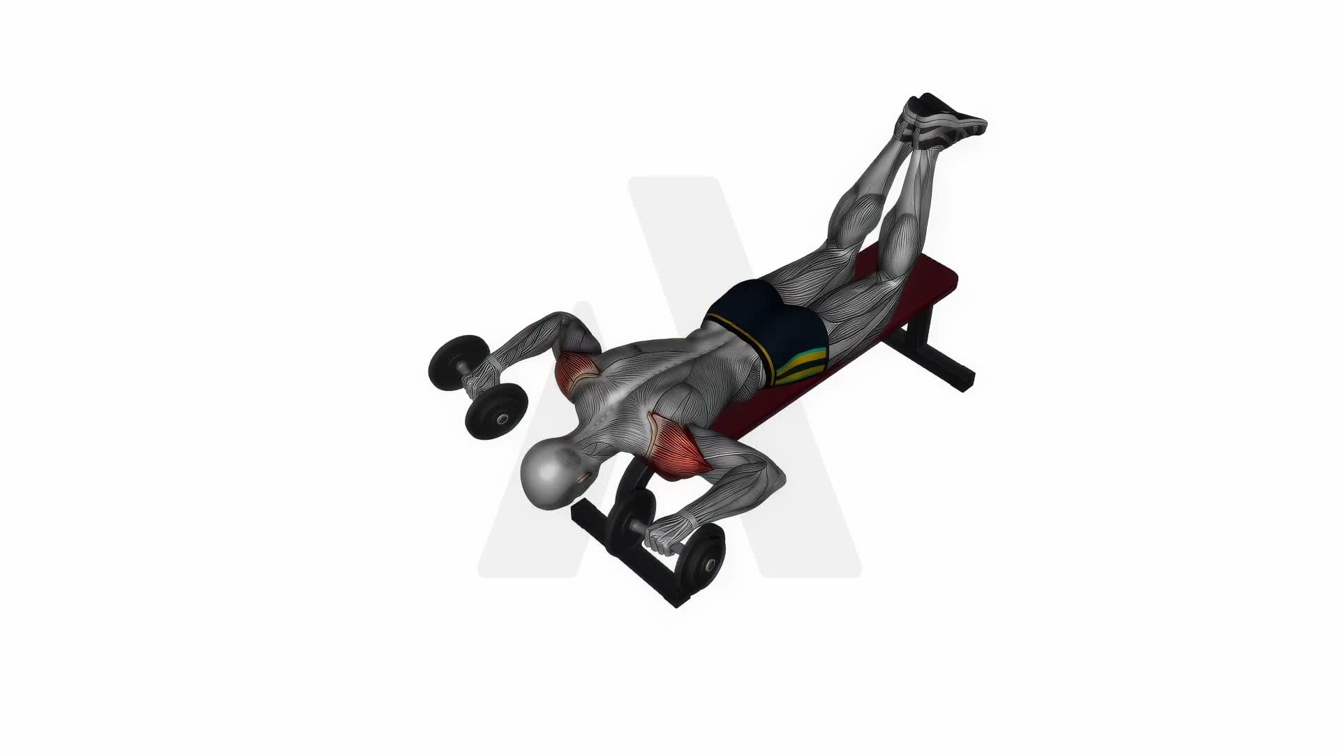 Dumbbell Face Down Lying Shoulder Pres exercise demonstration