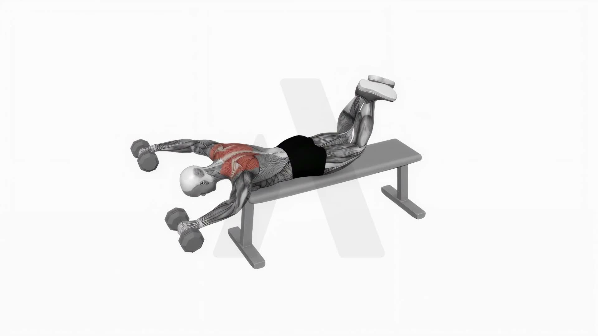 Dumbbell Face Down Lying Shoulder Press exercise demonstration