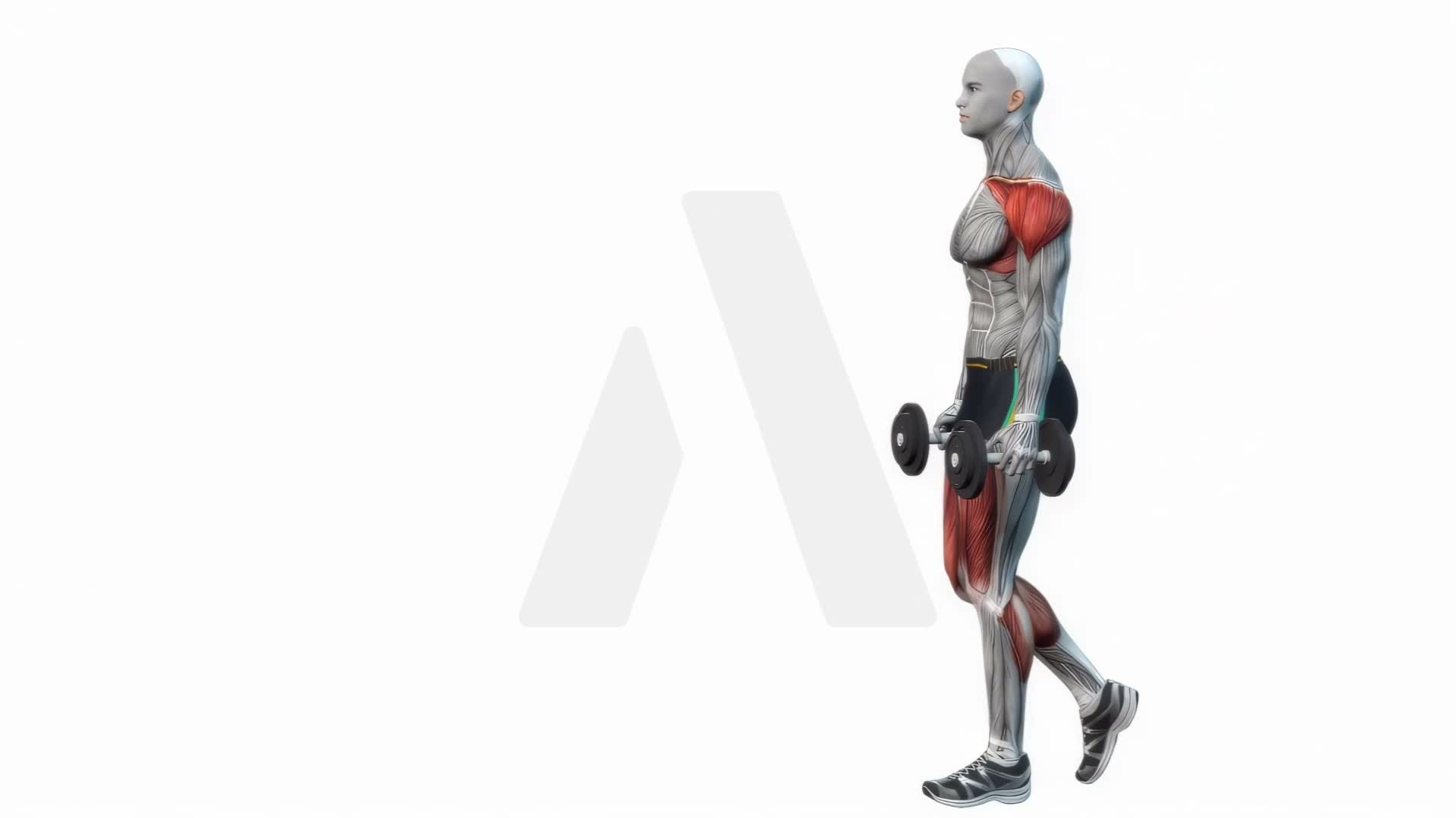 Dumbbell Farmer Walks exercise demonstration