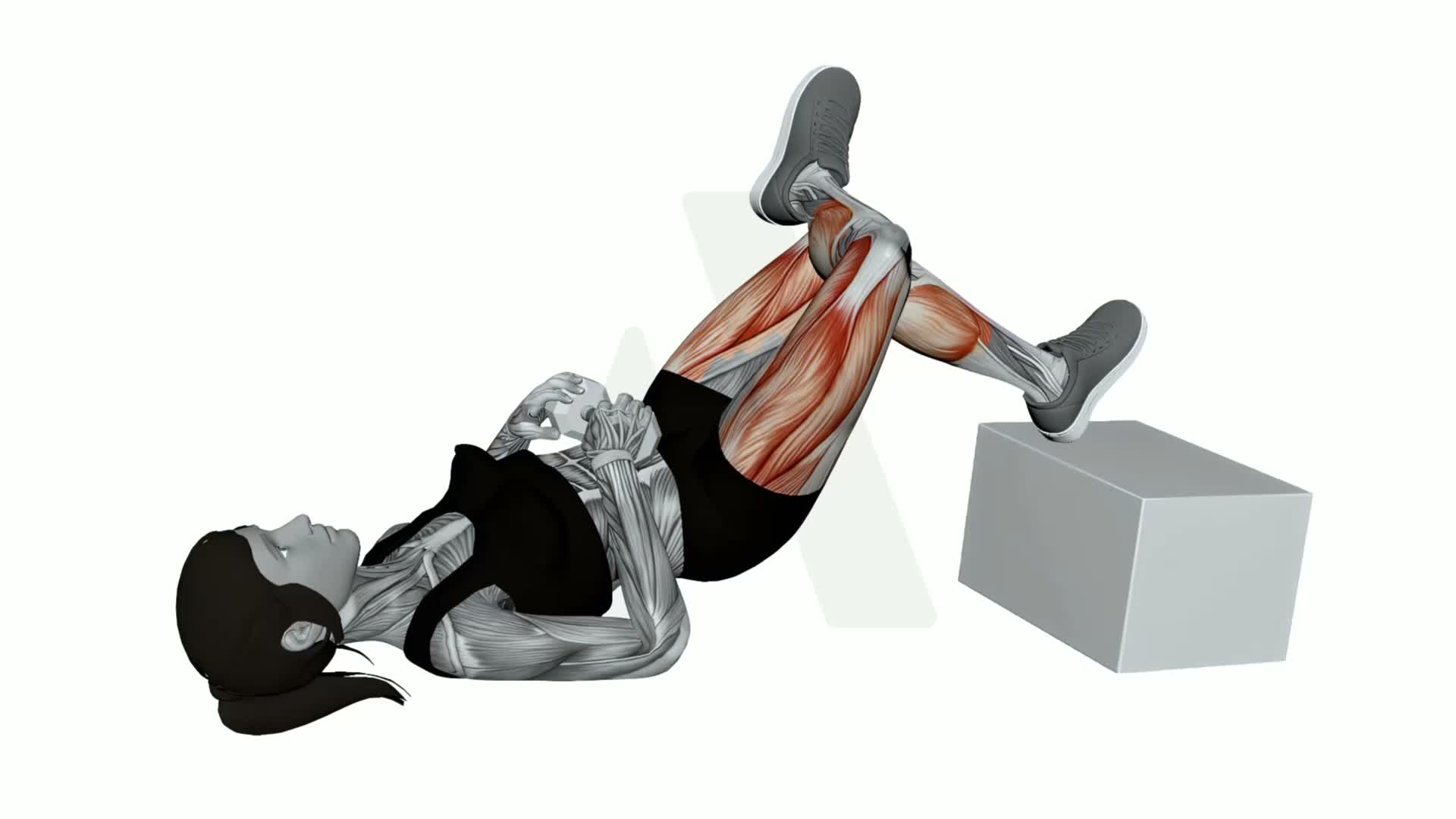 Dumbbell Feet Elevated Figure Four Glute Bridge exercise demonstration