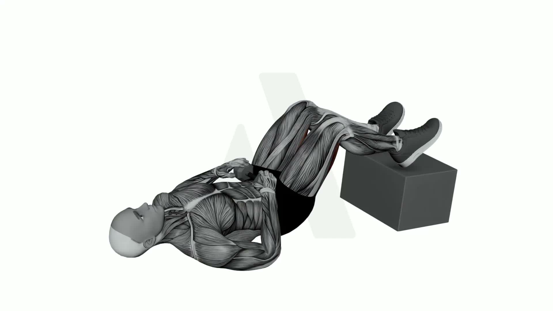 Dumbbell Feet Elevated Glute Bridge exercise demonstration