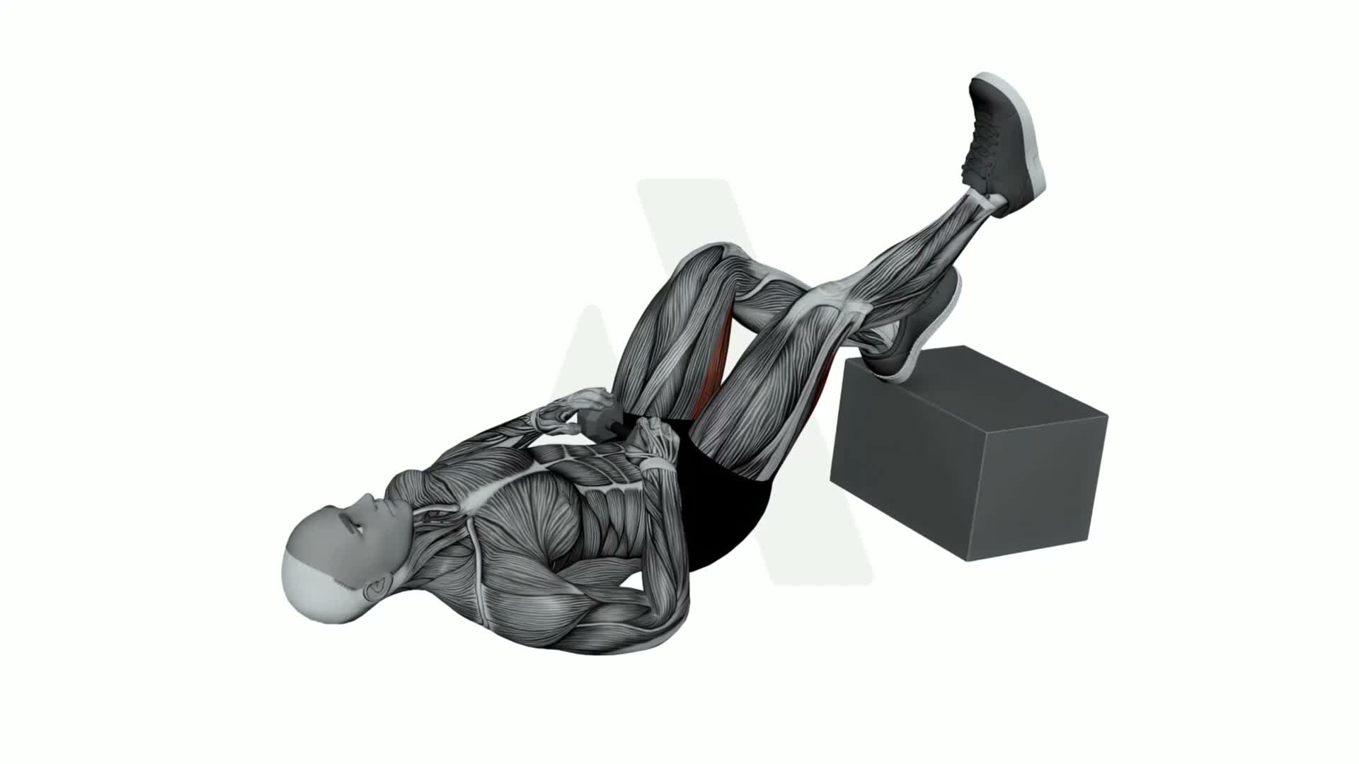 Dumbbell Feet Elevated Single Leg Glute Bridge exercise demonstration