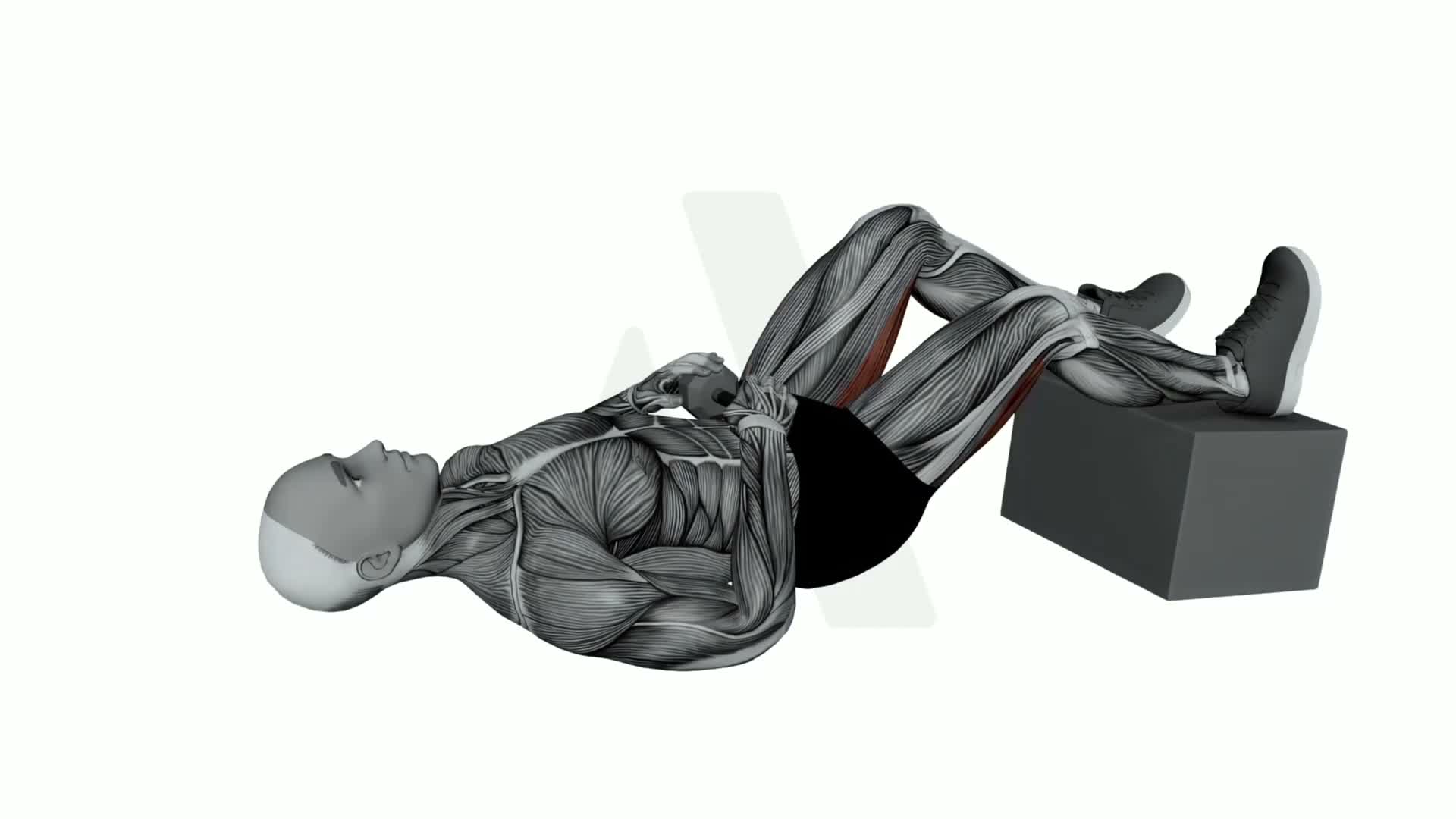 Dumbbell Feet Elevated Staggered Glute Bridge exercise demonstration