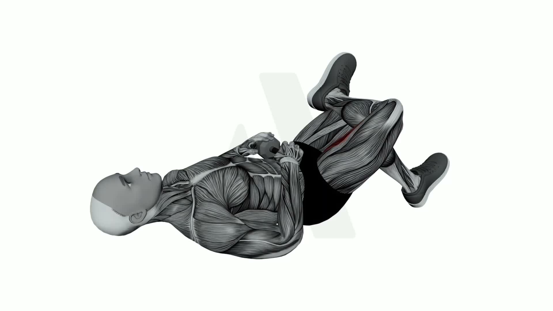 Dumbbell Figure Four Glute Bridge exercise demonstration