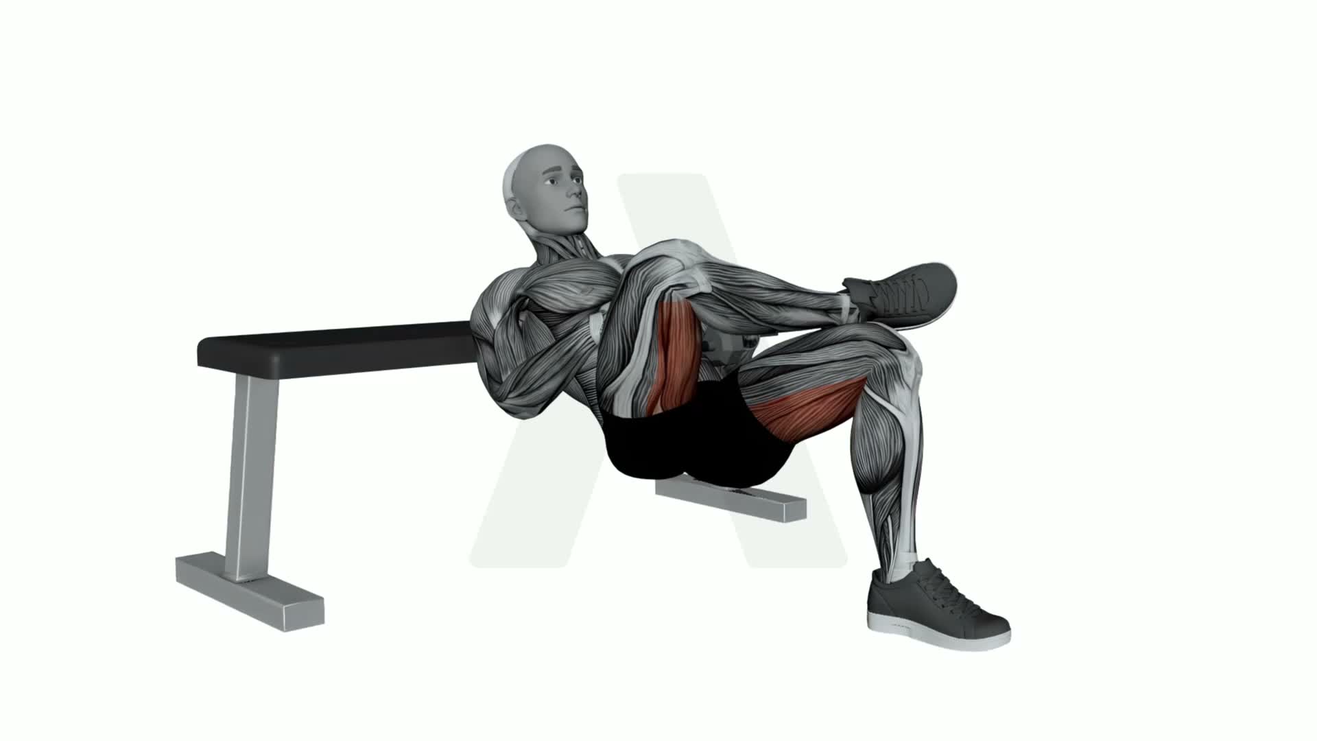 Dumbbell Figure Four Hip Thrust exercise demonstration