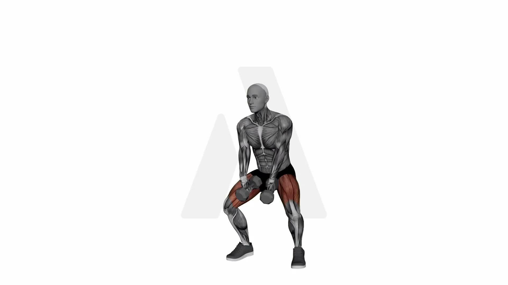 Dumbbell Frog Jumps exercise demonstration