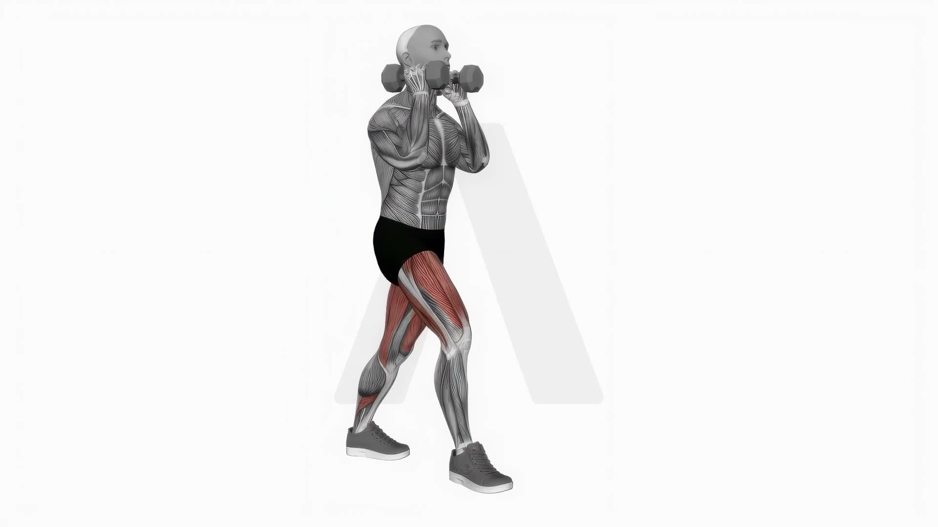 Dumbbell Front Rack Lunge exercise demonstration