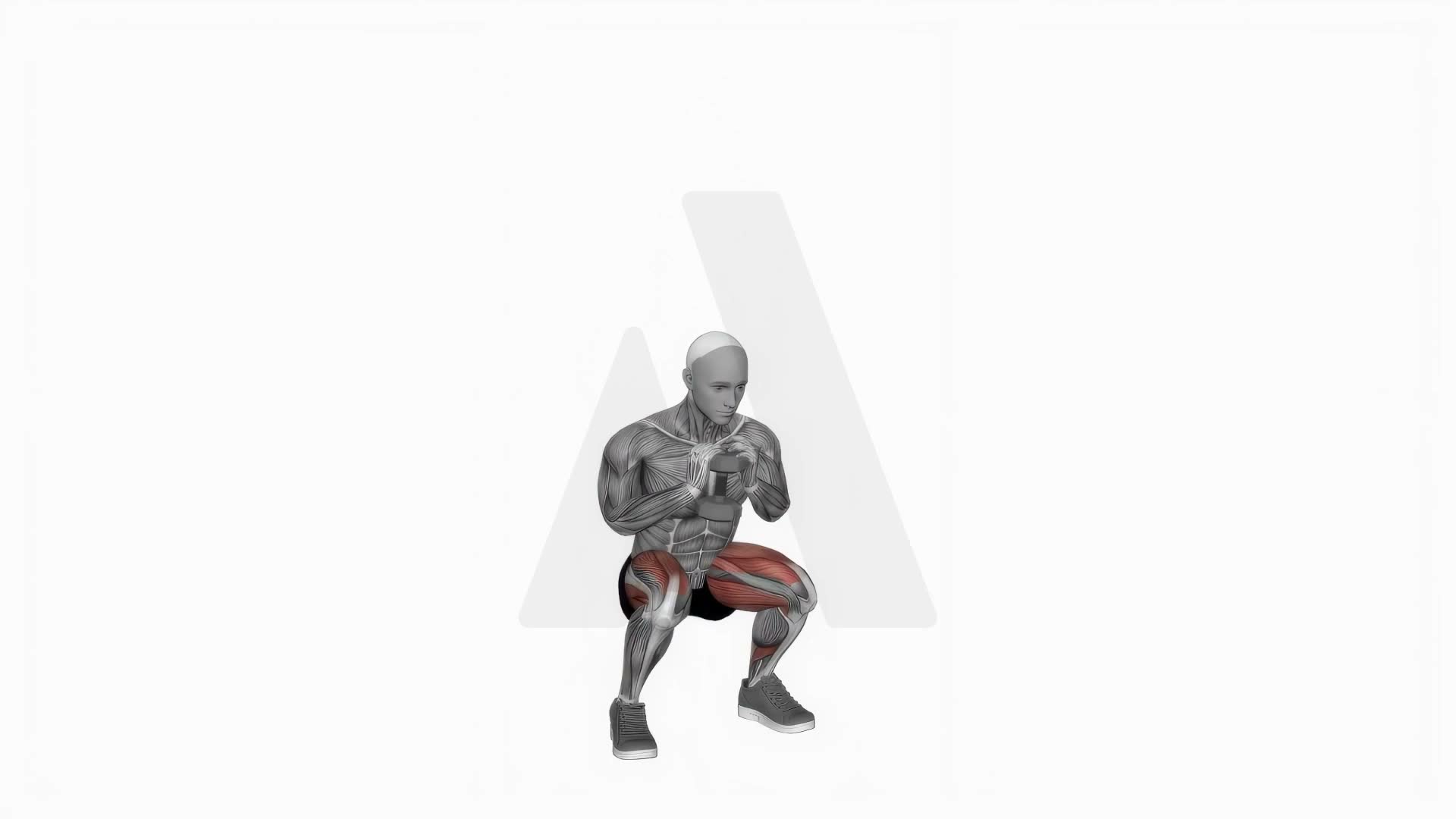 Dumbbell Goblet 2 Sec Hold Squat exercise demonstration