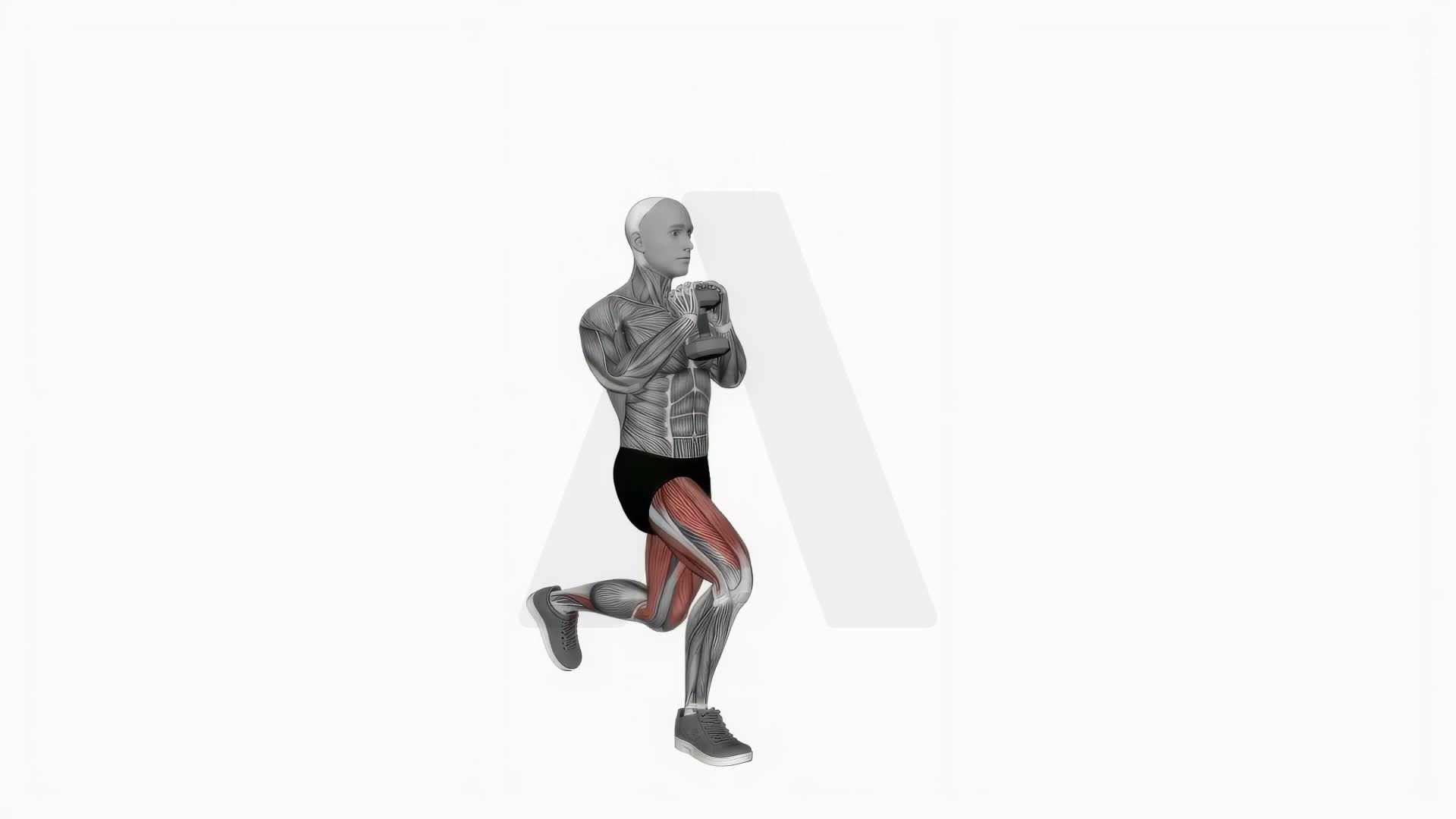 Dumbbell Goblet Curtsy Lunge exercise demonstration