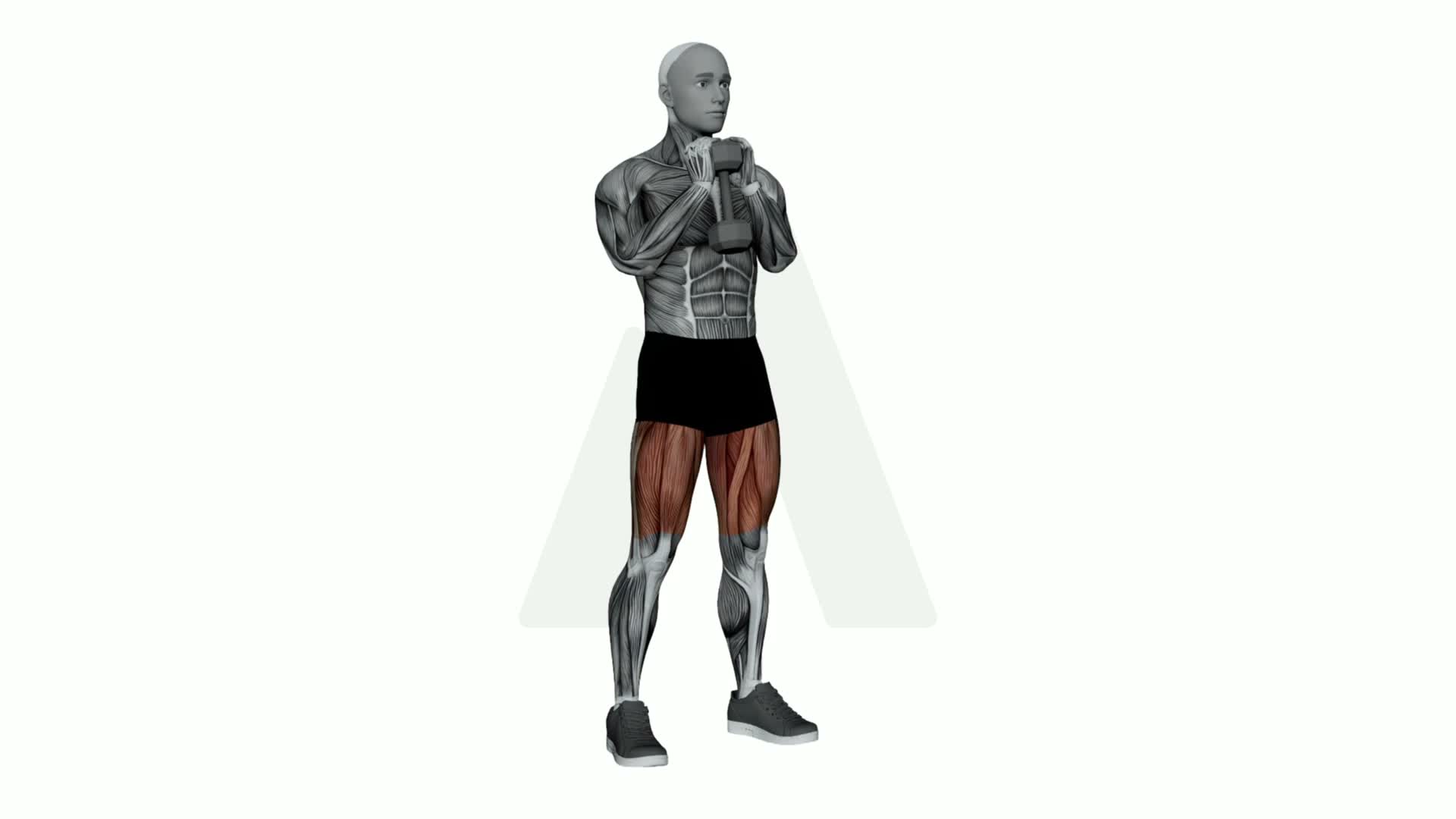 Dumbbell Goblet Good Morning exercise demonstration
