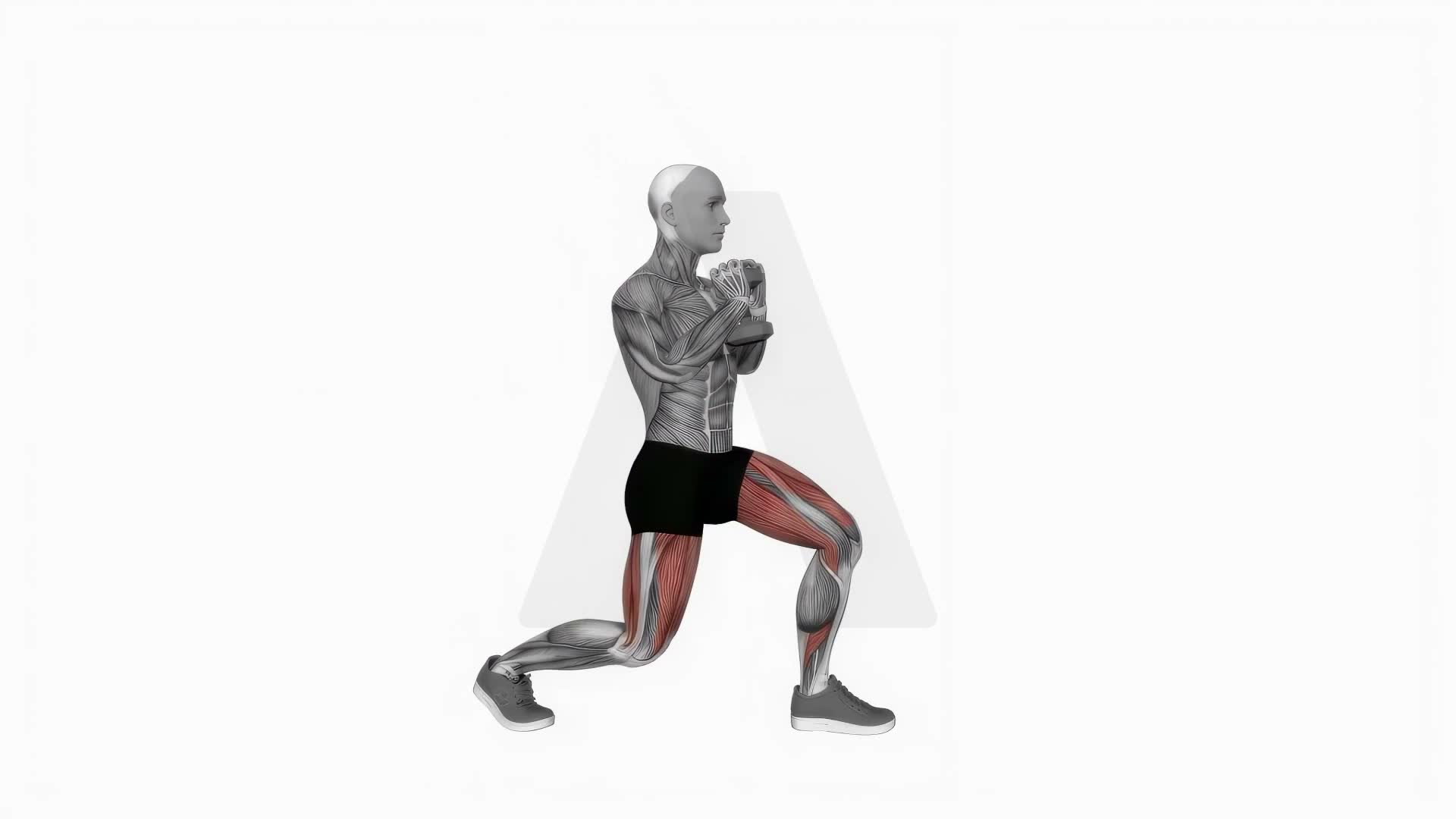 Dumbbell Goblet Split Squat exercise demonstration
