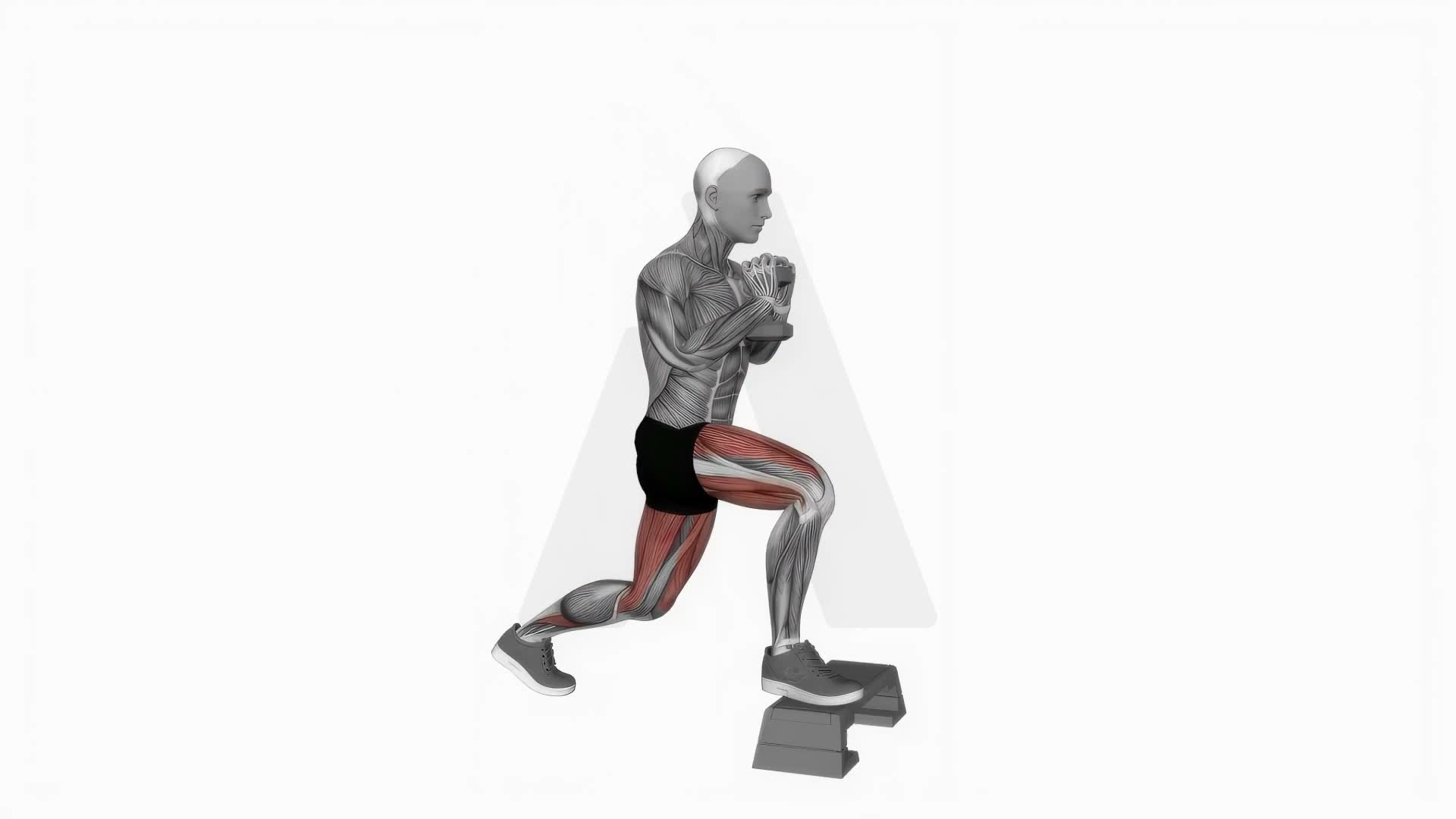 Dumbbell Goblet Split Squat Front Foot Elevanted exercise demonstration