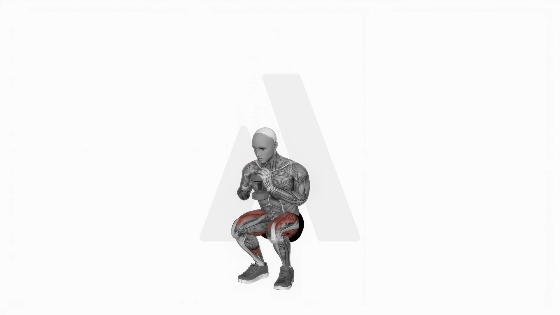 Goblet Squat exercise demonstration