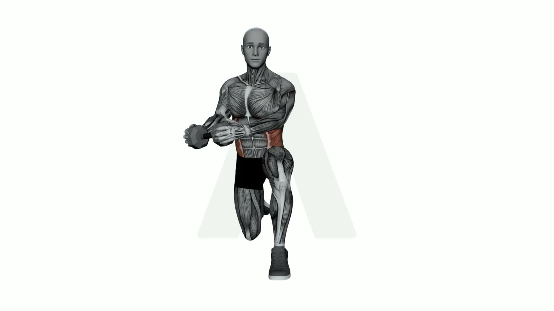 Dumbbell Half Kneeling Wood Chopper exercise demonstration